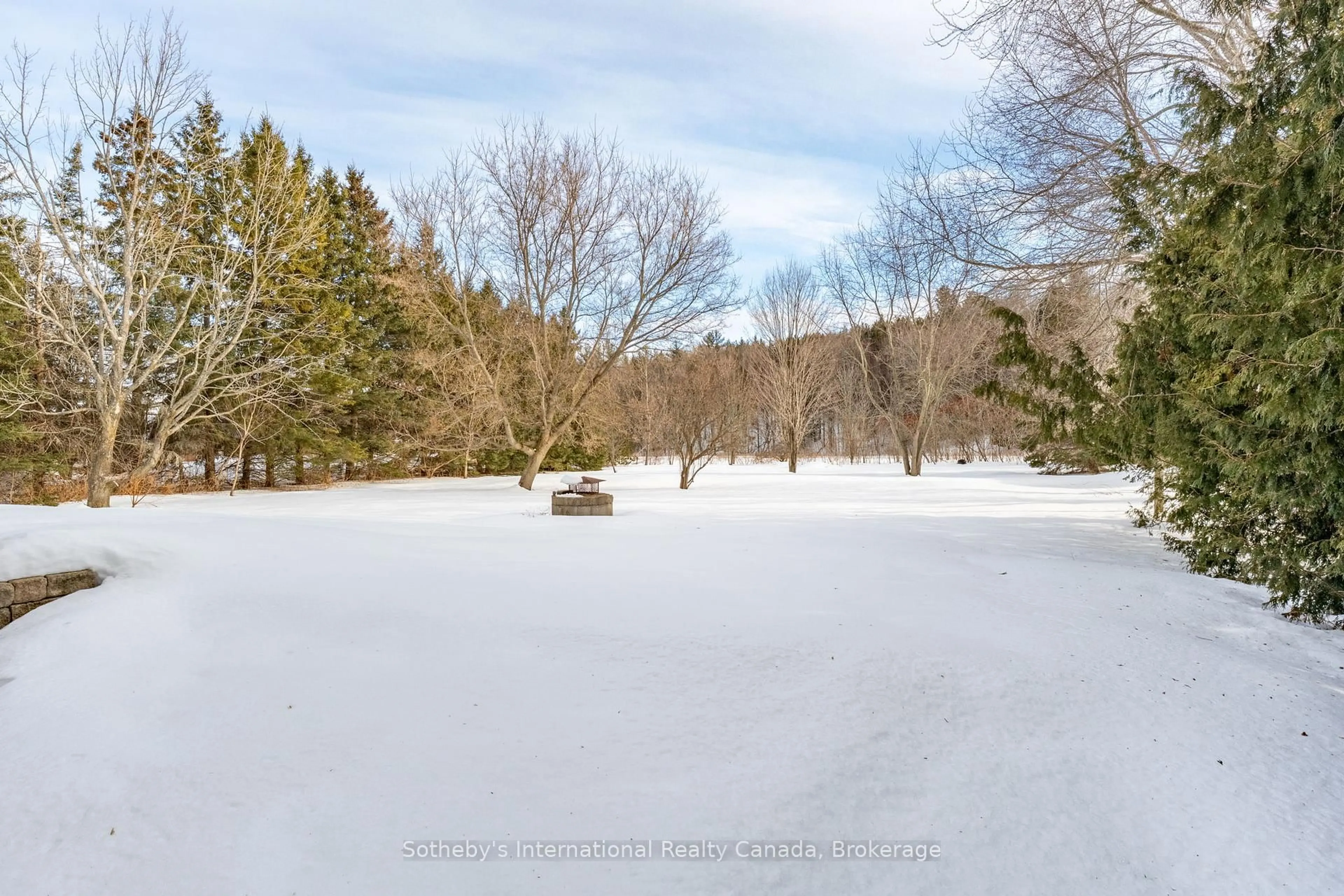 A pic from outside/outdoor area/front of a property/back of a property/a pic from drone, forest/trees view for 79 Caroline St, Clearview Ontario L0M 1G0