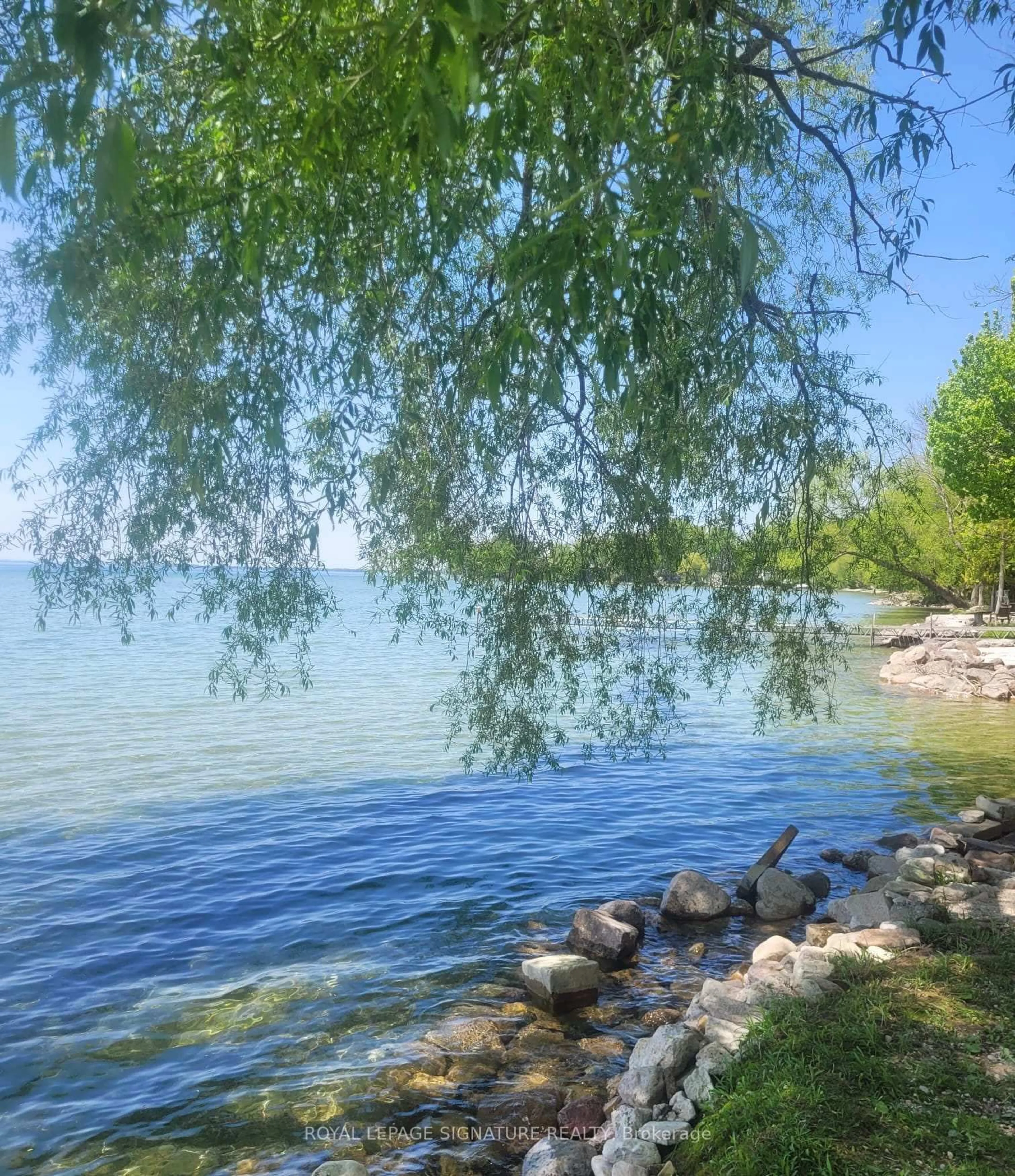 Blurry image for 2644 Lakeshore Dr, Ramara Ontario L0K 1B0