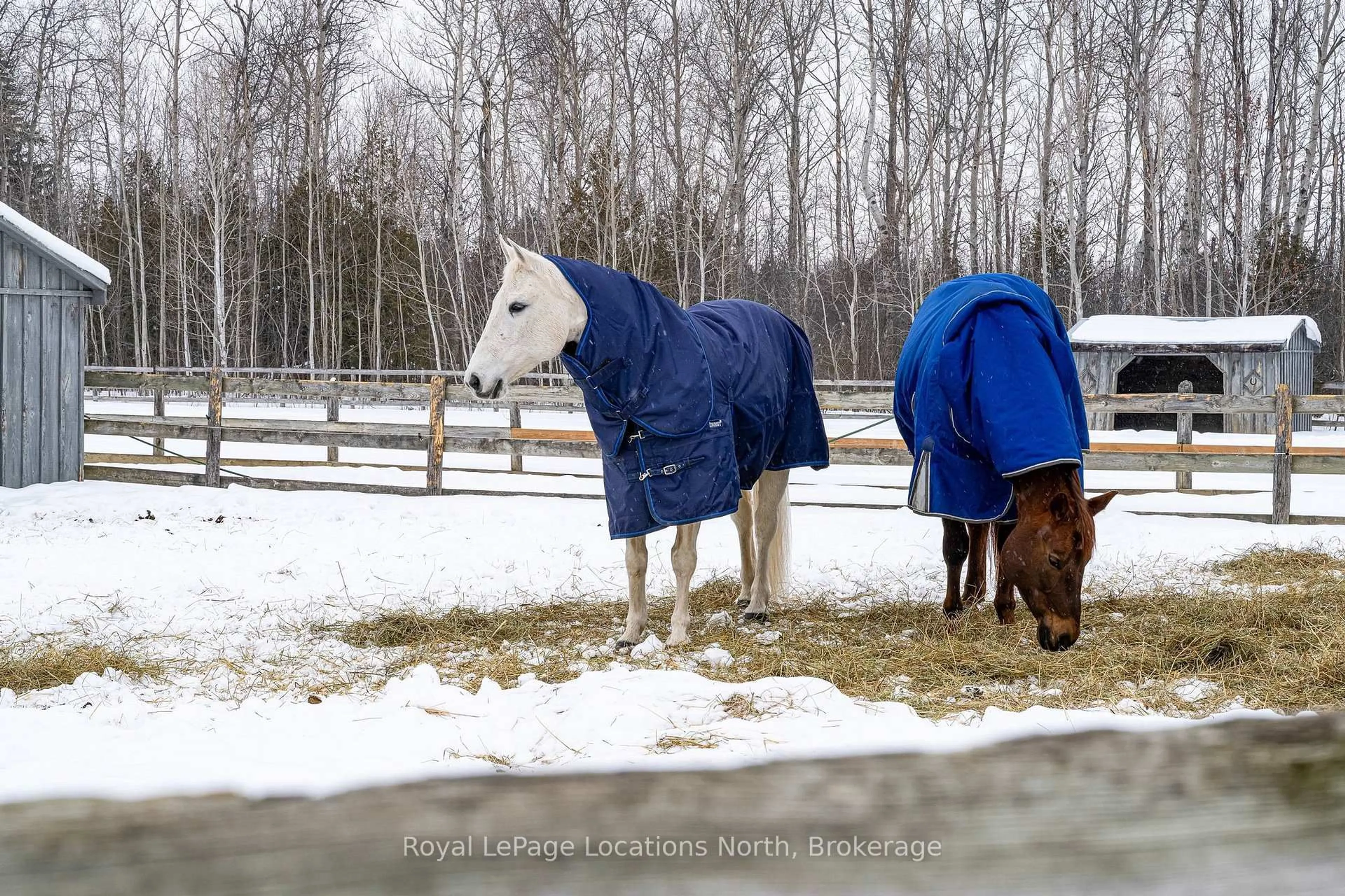 Unknown for 2623 Con 10 N Nottawasaga Sdrd, Clearview Ontario L9Y 3Y9