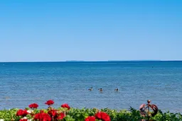 history photo preview