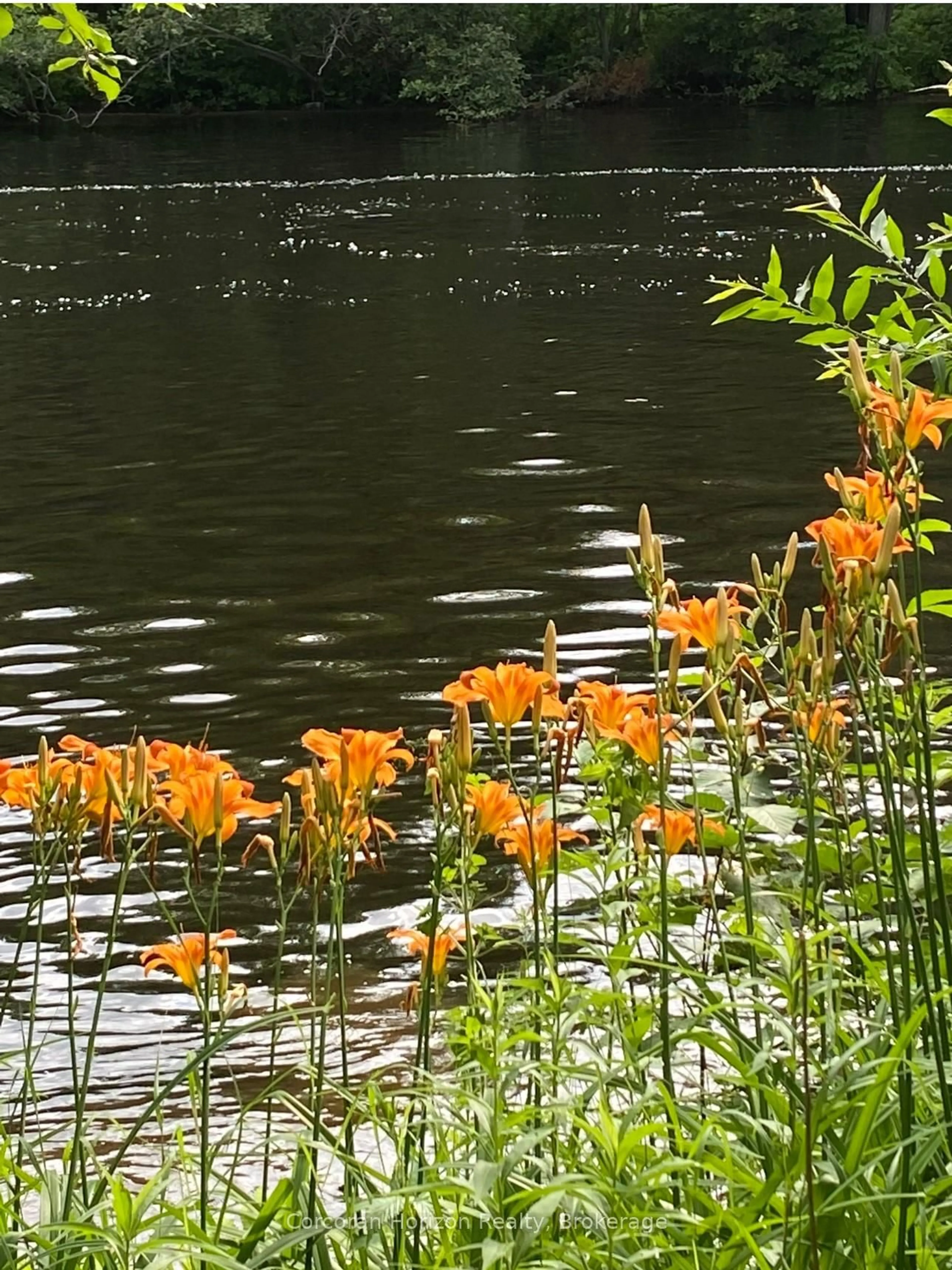 Blurry image for 3000 Whelan Way, Ramara Ontario L0K 2B0