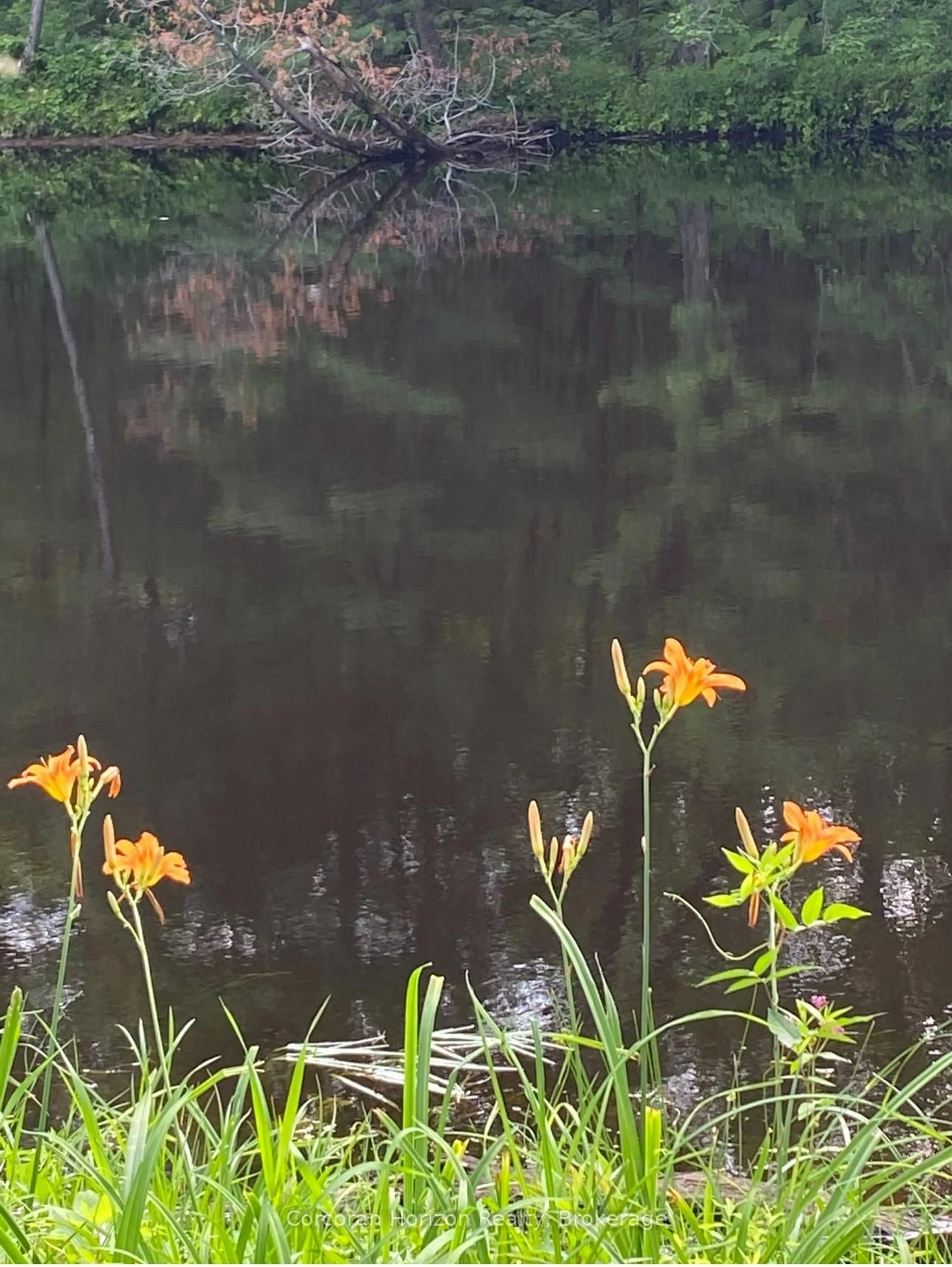 Blurry image for 3000 Whelan Way, Ramara Ontario L0K 2B0