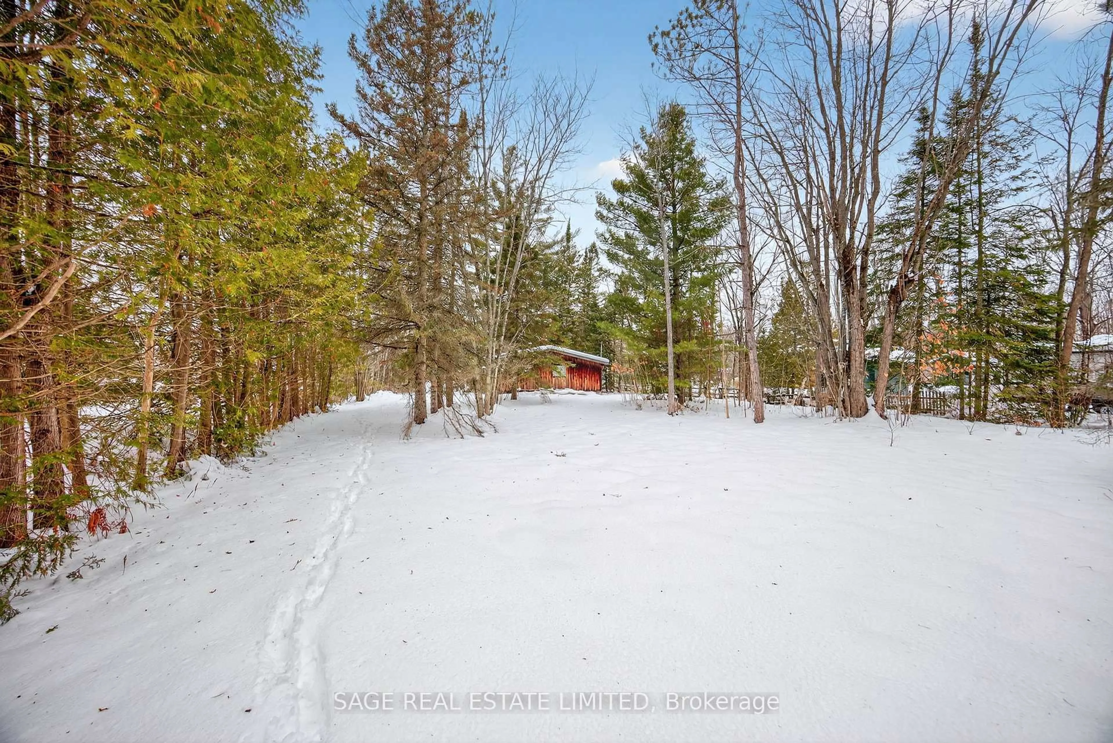 A pic from outside/outdoor area/front of a property/back of a property/a pic from drone, forest/trees view for 7856 Birch Dr, Ramara Ontario L0K 2B0