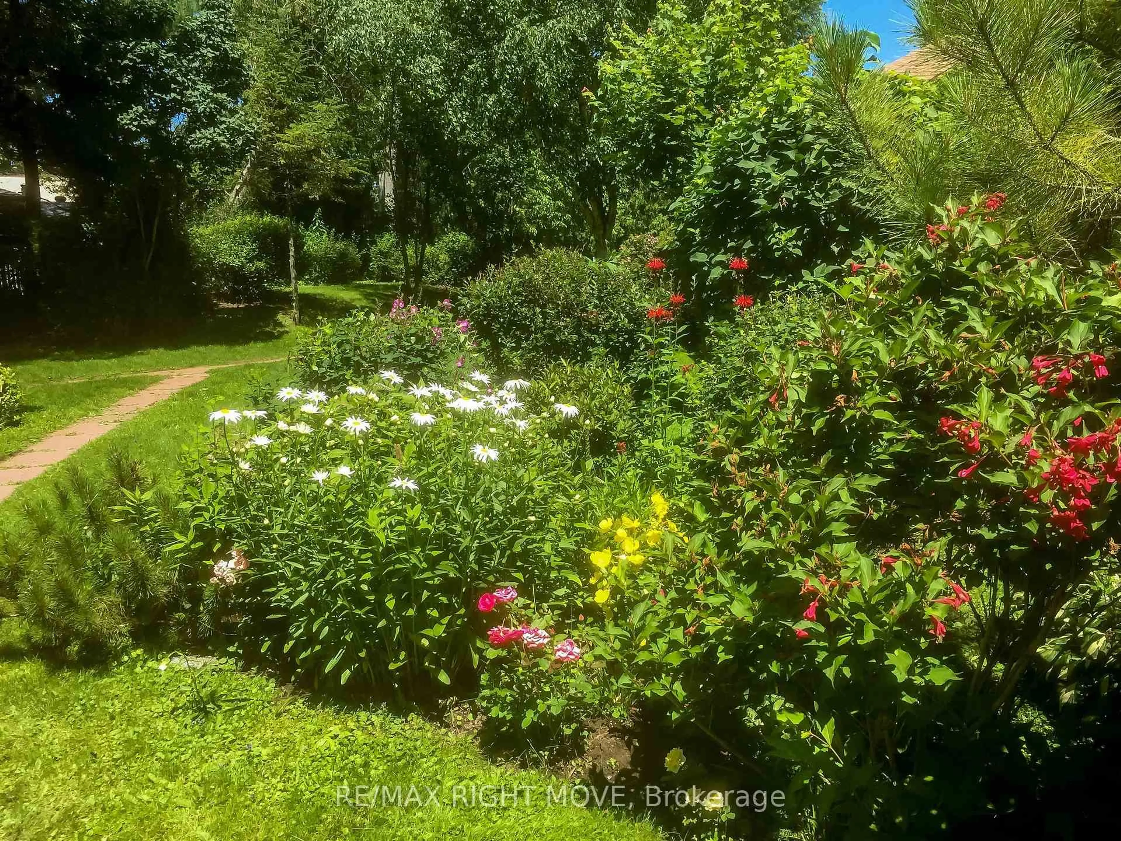 A pic from outside/outdoor area/front of a property/back of a property/a pic from drone, forest/trees view for 2674 Lone Birch Tr, Ramara Ontario L0K 1B0
