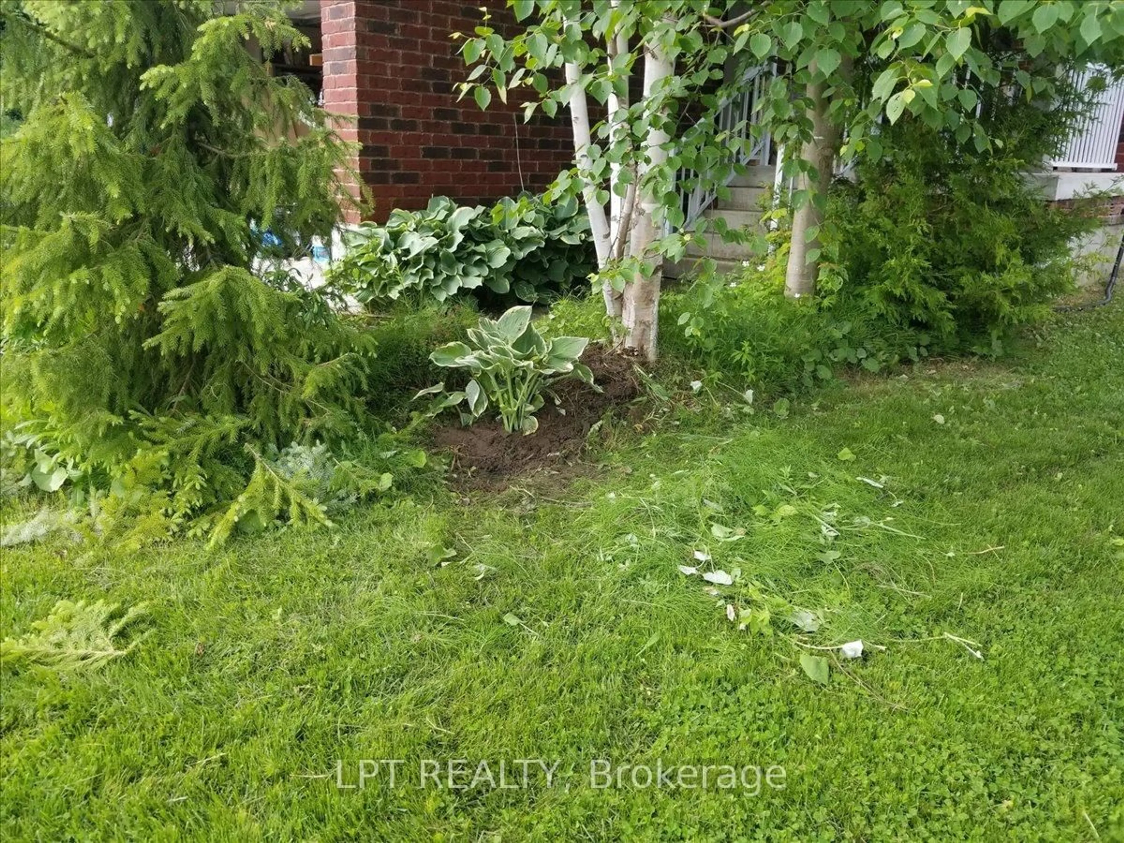 A pic from outside/outdoor area/front of a property/back of a property/a pic from drone, forest/trees view for 62 Williams St, Collingwood Ontario L9Y 0C4