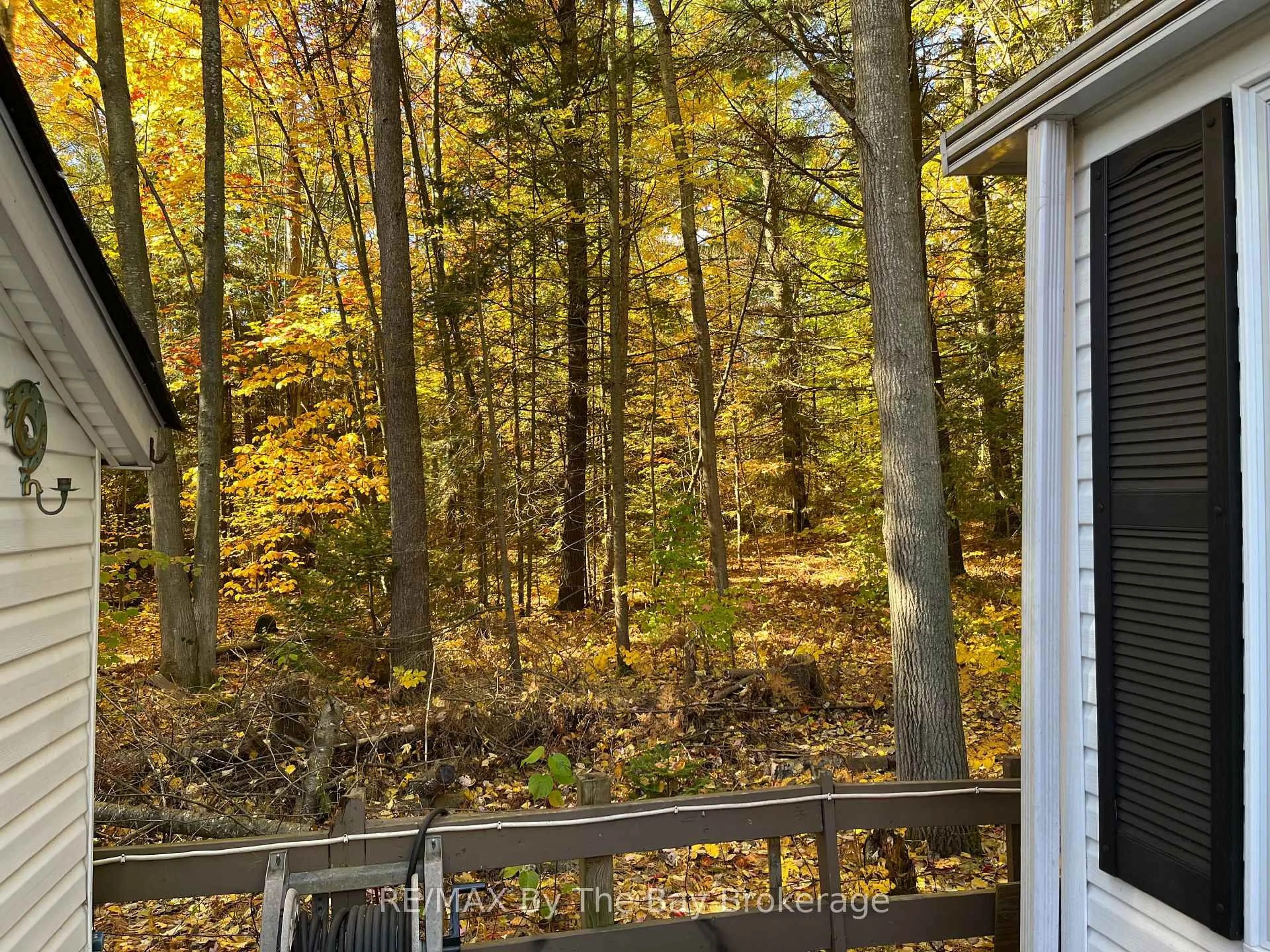 Patio, forest/trees view for 85 Theme Park Dr #68, Wasaga Beach Ontario L9Z 1X7