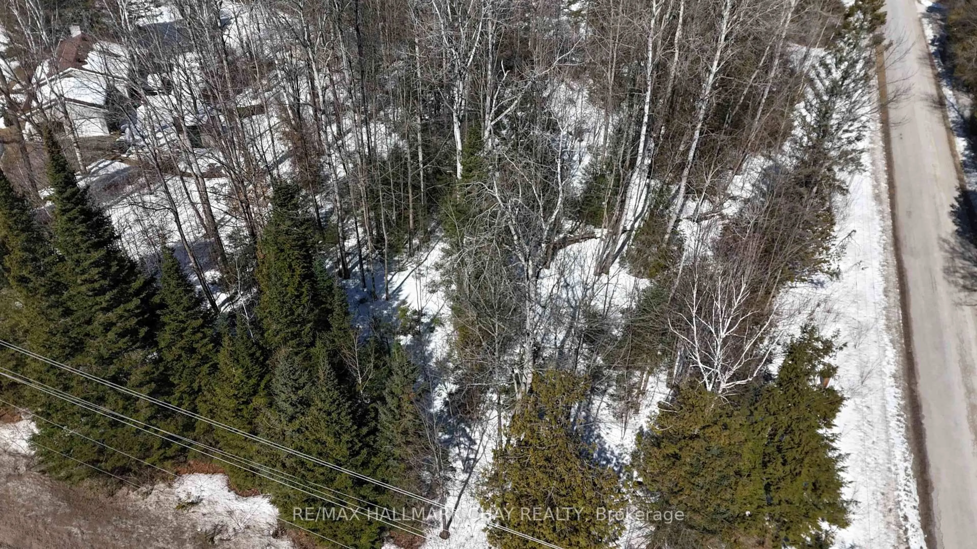 A pic from outside/outdoor area/front of a property/back of a property/a pic from drone, forest/trees view for 348 Mount St. Louis Rd, Oro-Medonte Ontario L0K 1N0
