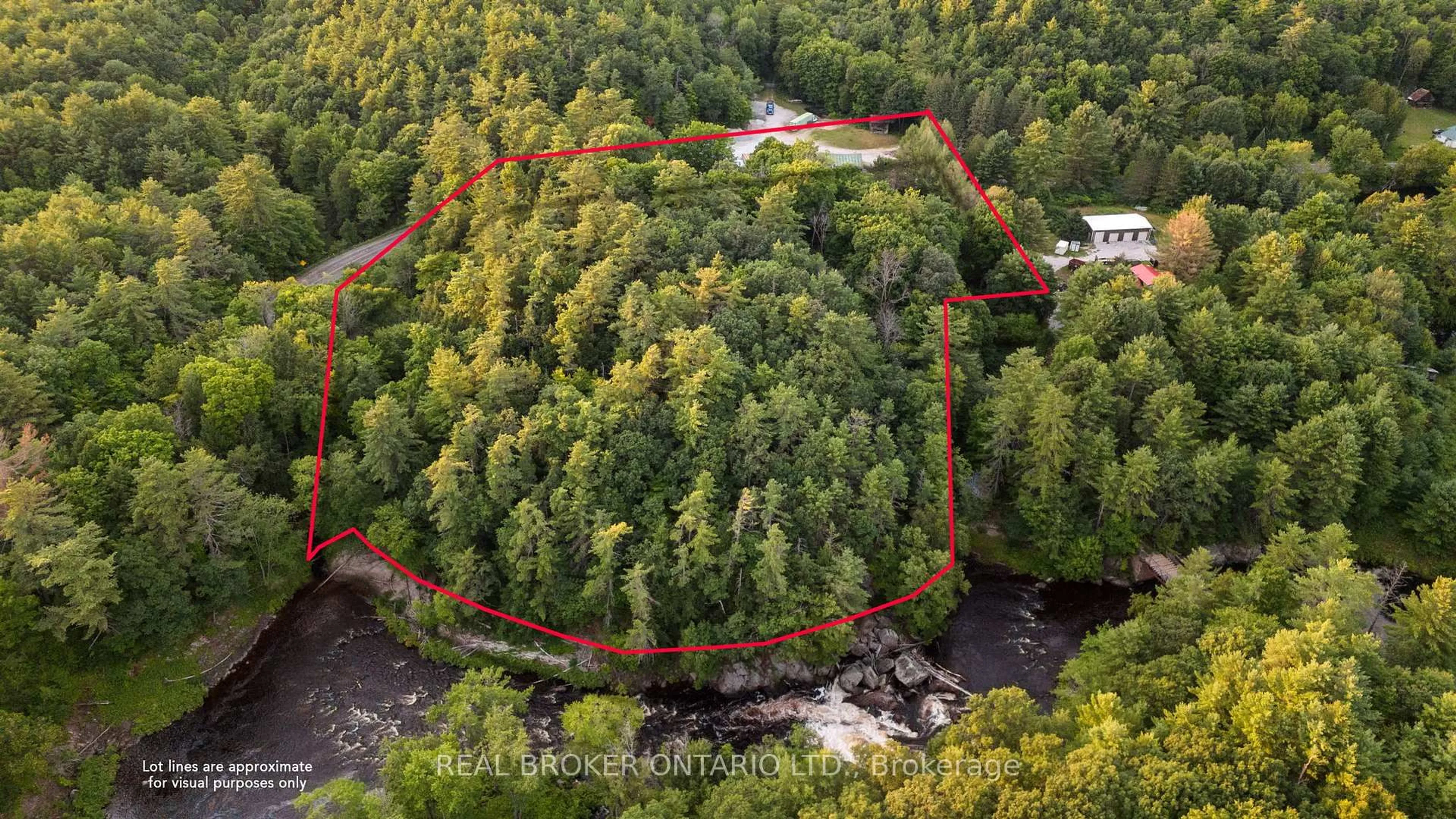 A pic from outside/outdoor area/front of a property/back of a property/a pic from drone, forest/trees view for 1401 Coopers Falls Rd, Ramara Ontario L0K 2B0
