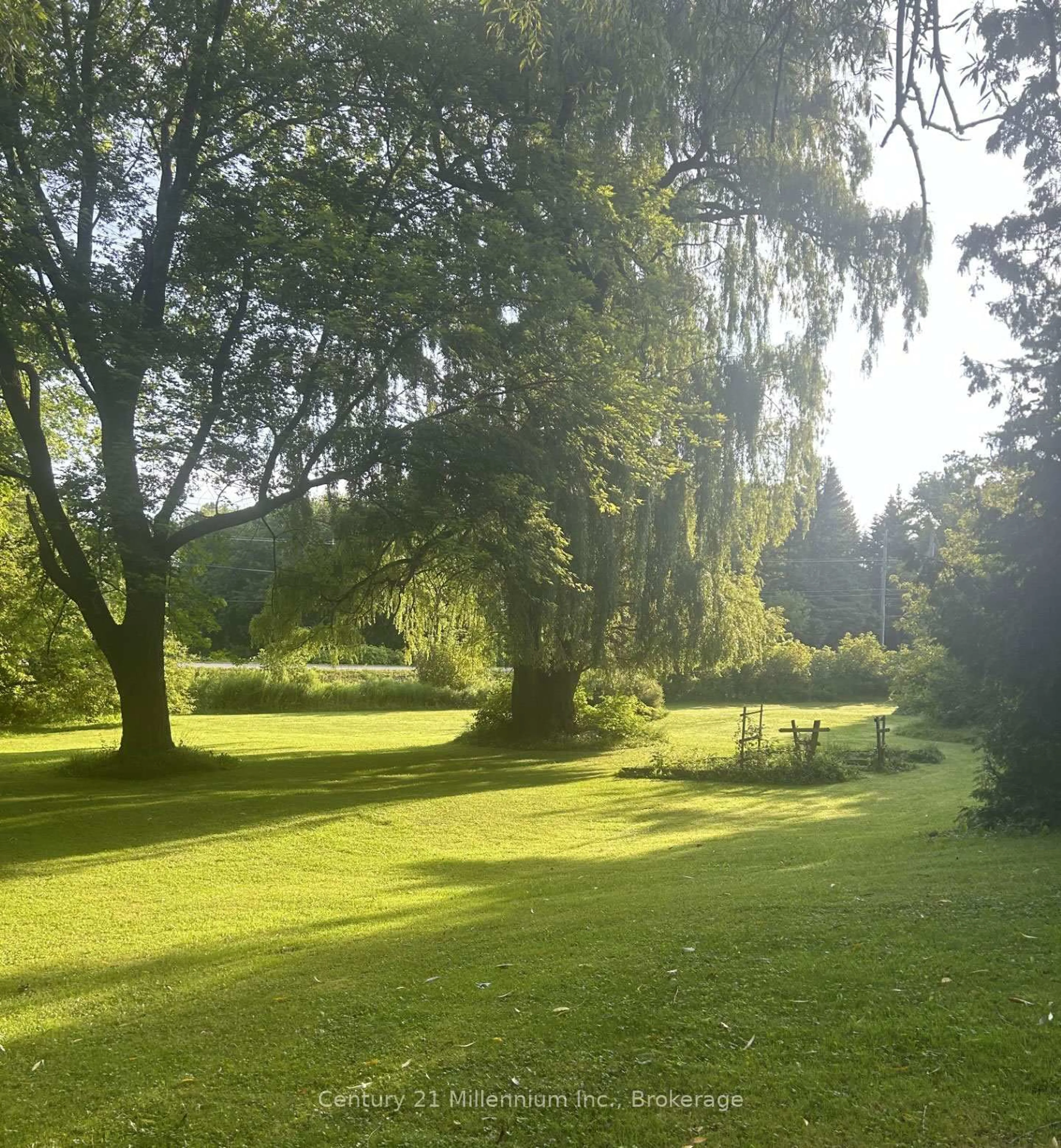 A pic from outside/outdoor area/front of a property/back of a property/a pic from drone, forest/trees view for 640 Mountain Rd, Collingwood Ontario L9Y 5G3