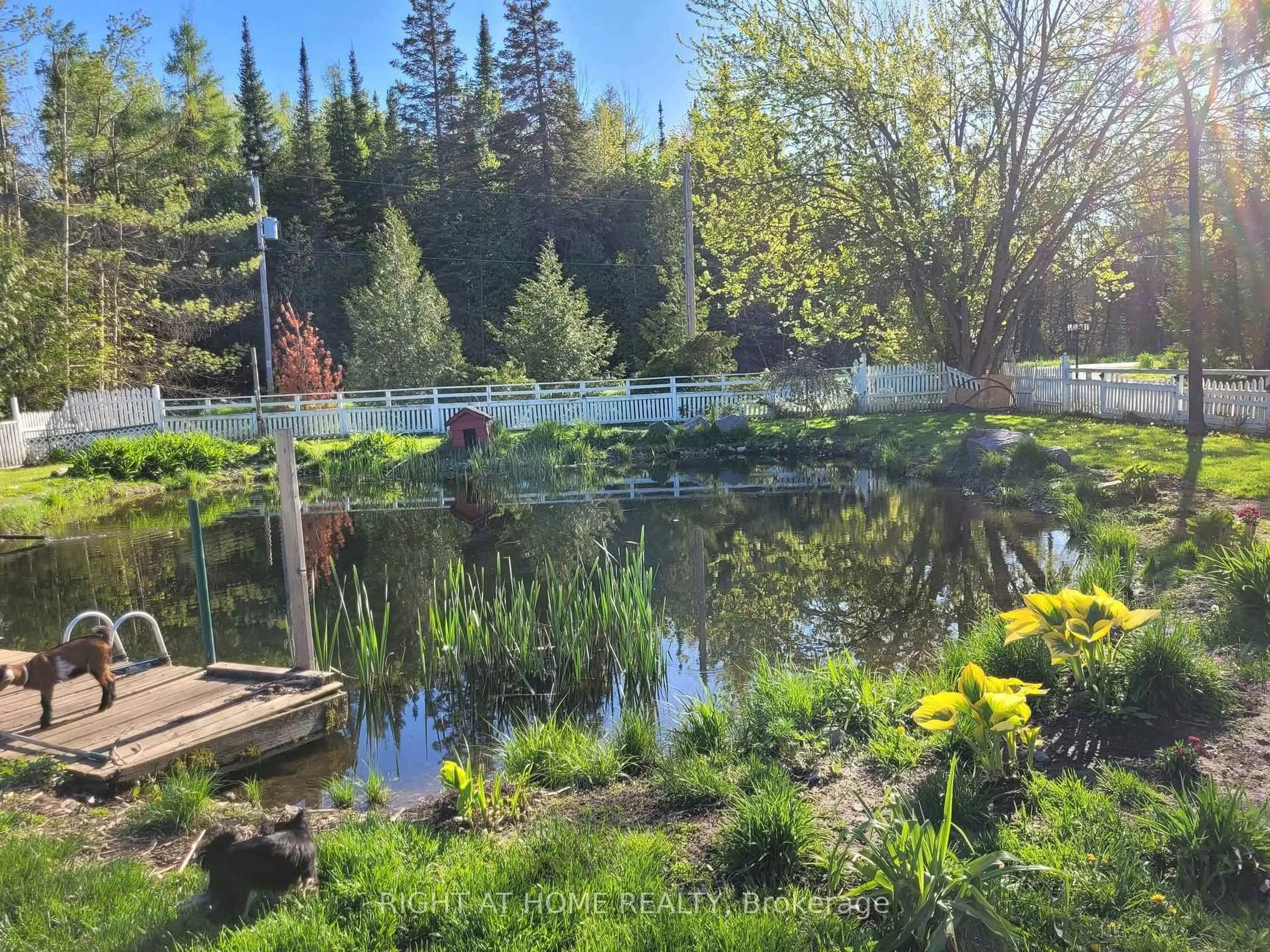 Unknown for 177 Medonte 2 Sdrd, Oro-Medonte Ontario L0K 1E0