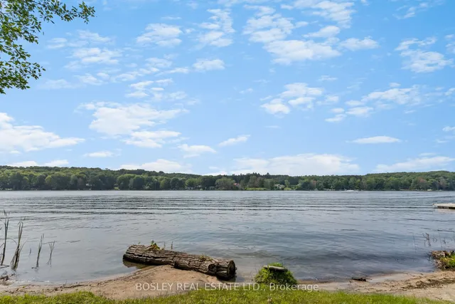 150 Farlain Lake Rd #Cottage, Tiny 4
