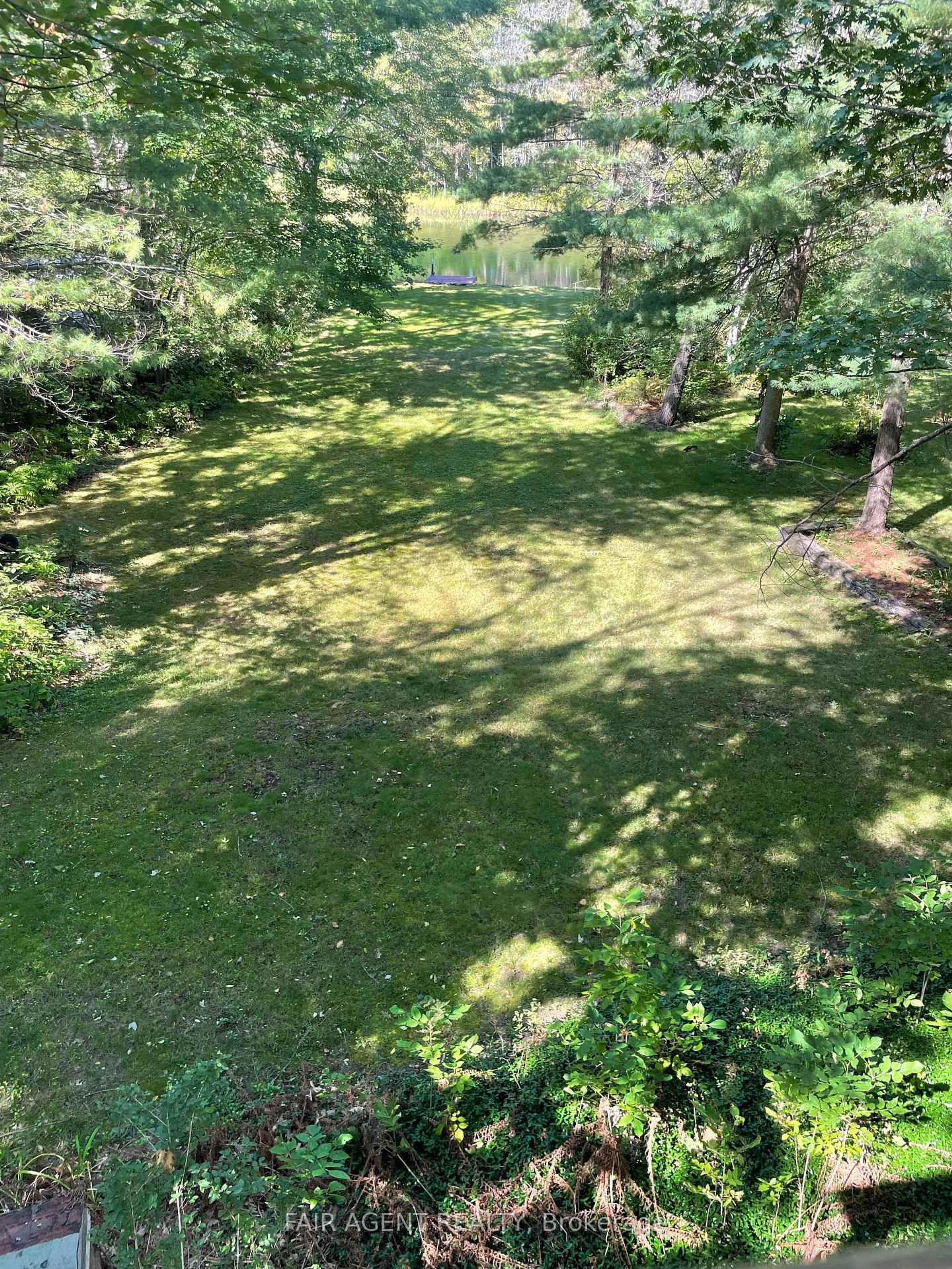 A pic from outside/outdoor area/front of a property/back of a property/a pic from drone, forest/trees view for 7672 DONER Dr, Ramara Ontario L0K 2B0