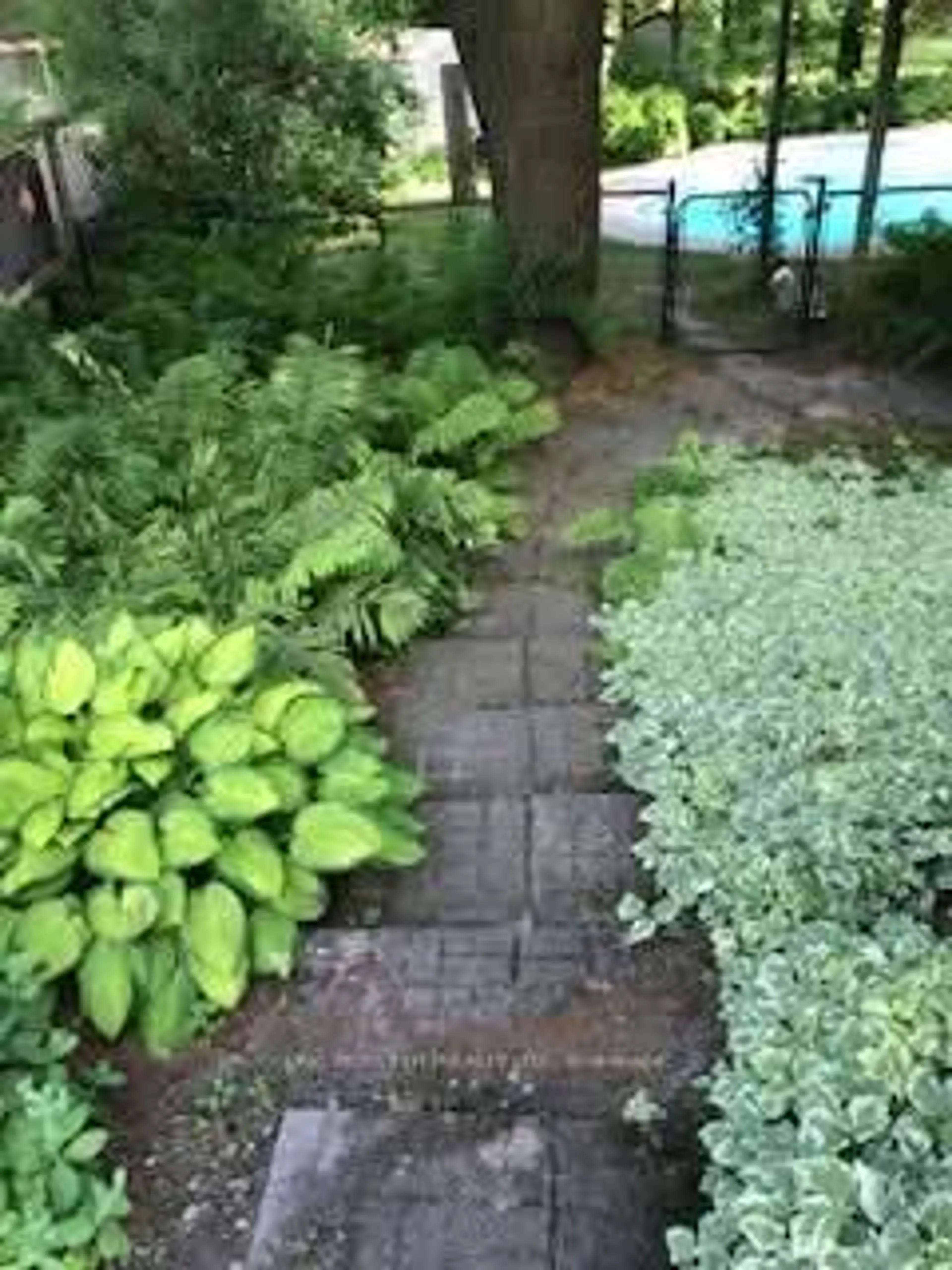 Patio, street for 39 POOLES Rd, Springwater Ontario L9X 0P4