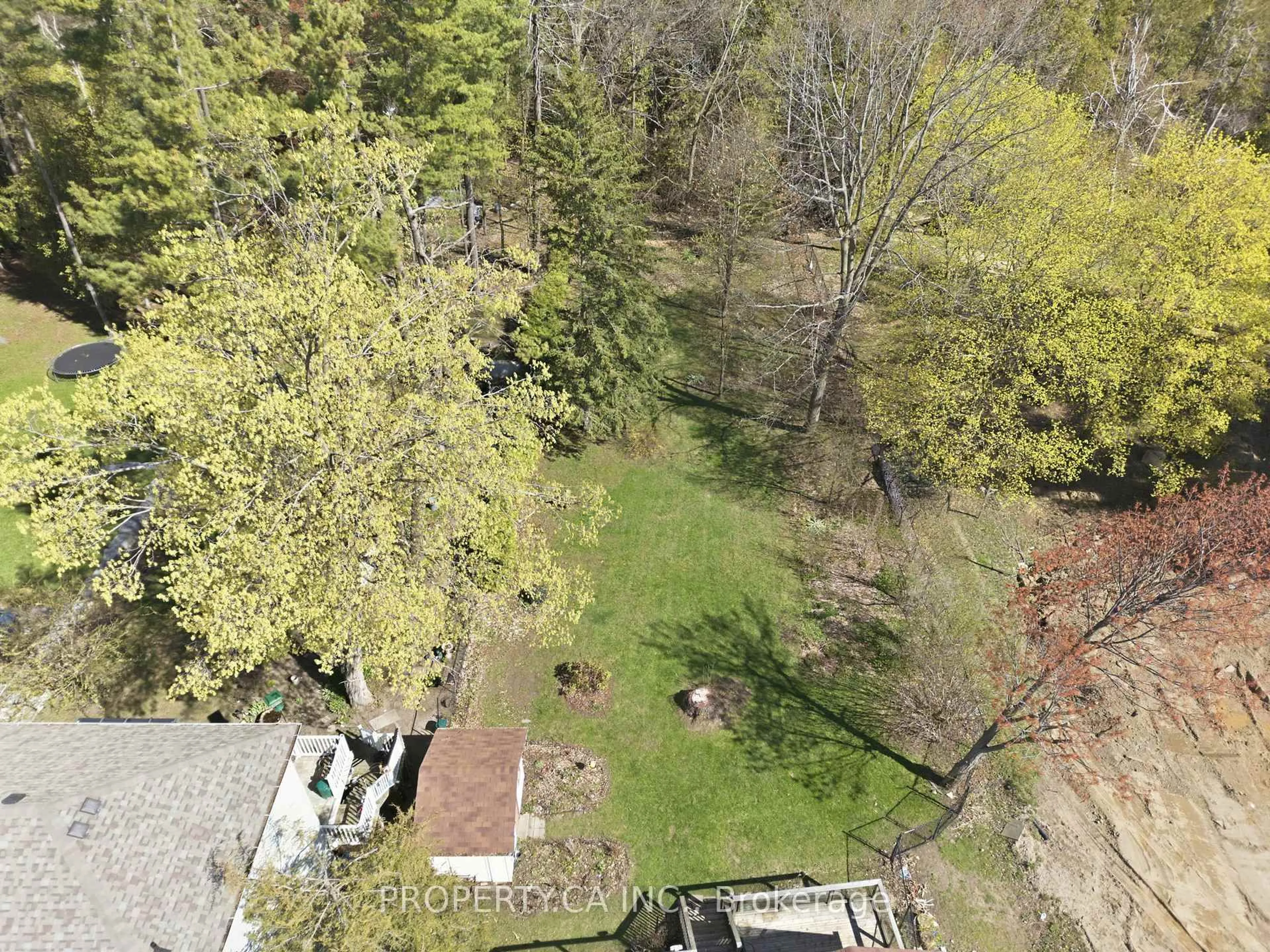 A pic from outside/outdoor area/front of a property/back of a property/a pic from drone, forest/trees view for 96 Ardagh Rd, Barrie Ontario L4N 9B7