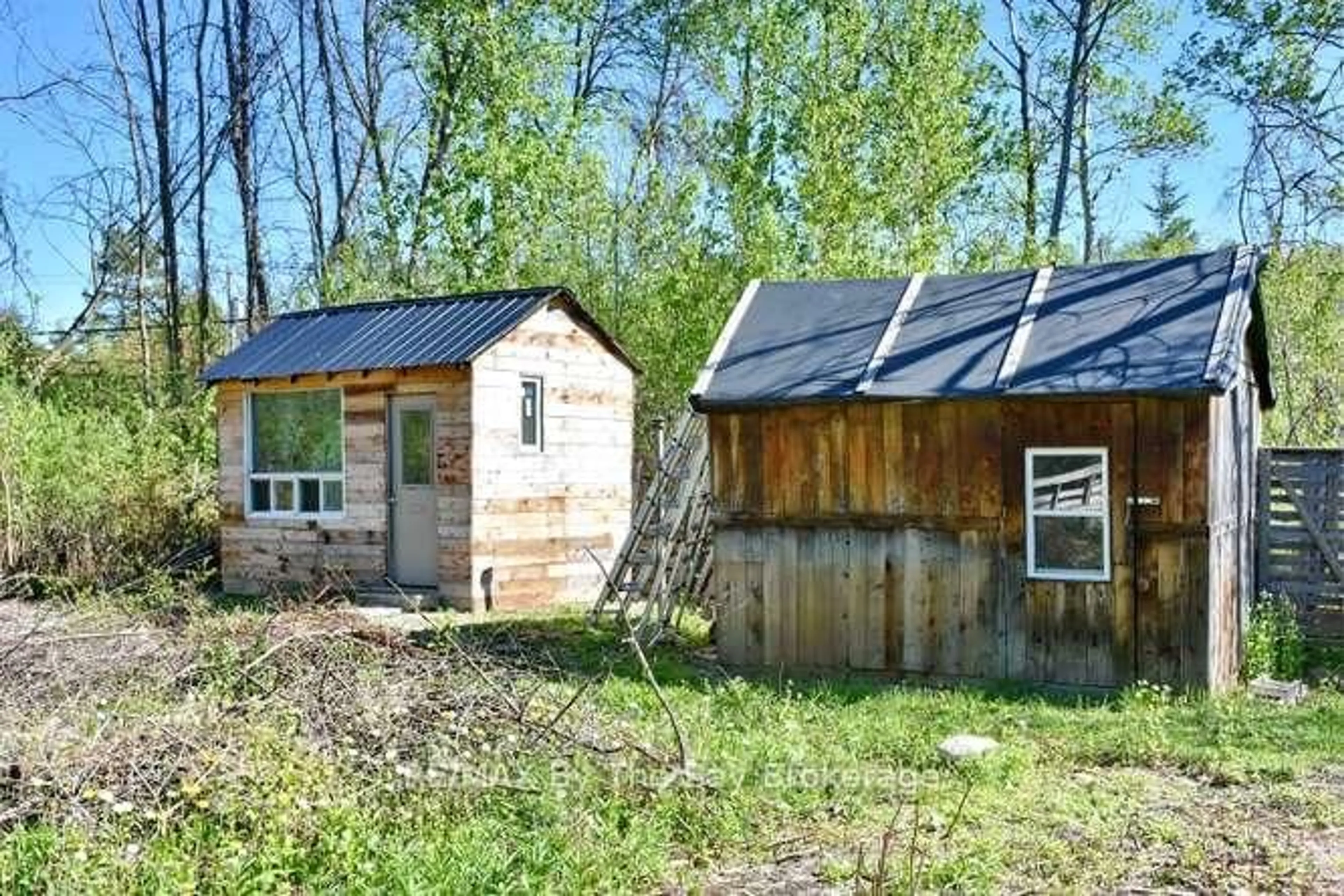 Shed for 21 Braeside St, Collingwood Ontario L9Y 0X2