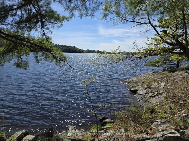 2910 MacLean Lake North Shore Rd, Severn 5