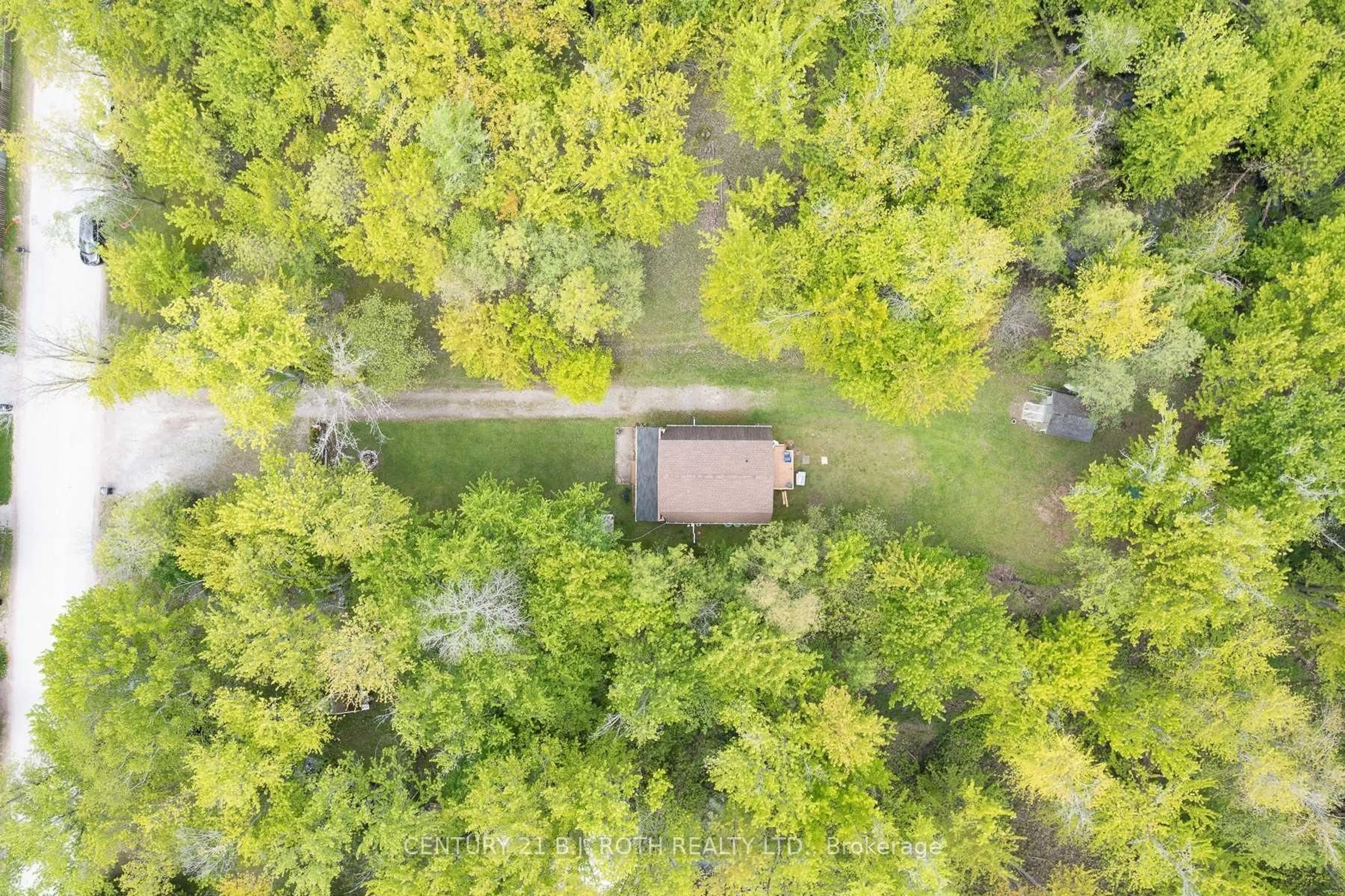 A pic from outside/outdoor area/front of a property/back of a property/a pic from drone, forest/trees view for 2597 Lakeshore Dr, Ramara Ontario L0K 1B0