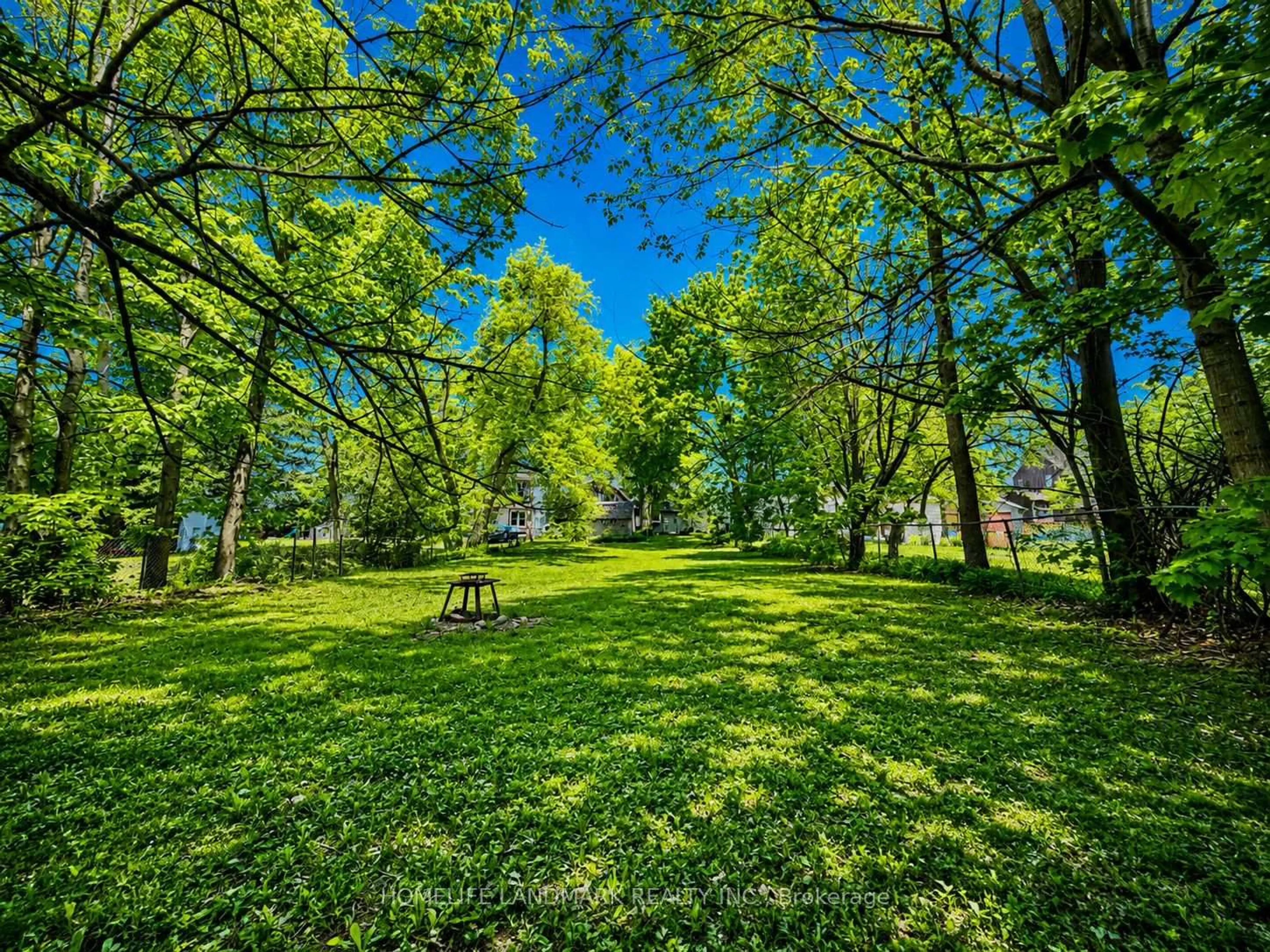 Patio, forest/trees view for 111 Penetang St, Barrie Ontario L4M 1V7