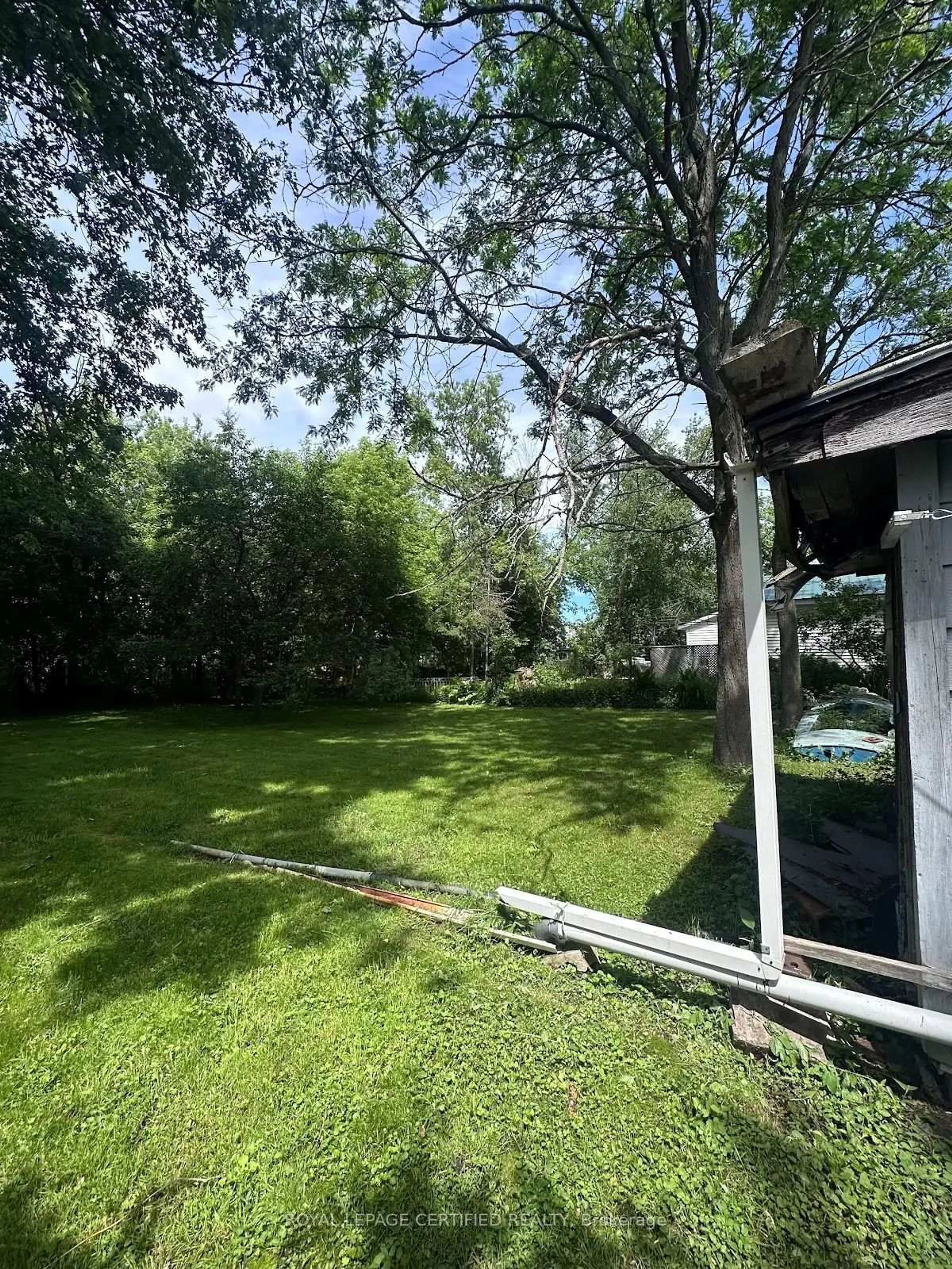A pic from outside/outdoor area/front of a property/back of a property/a pic from drone, forest/trees view for 8 Bush St, Severn Ontario L0K 1E0