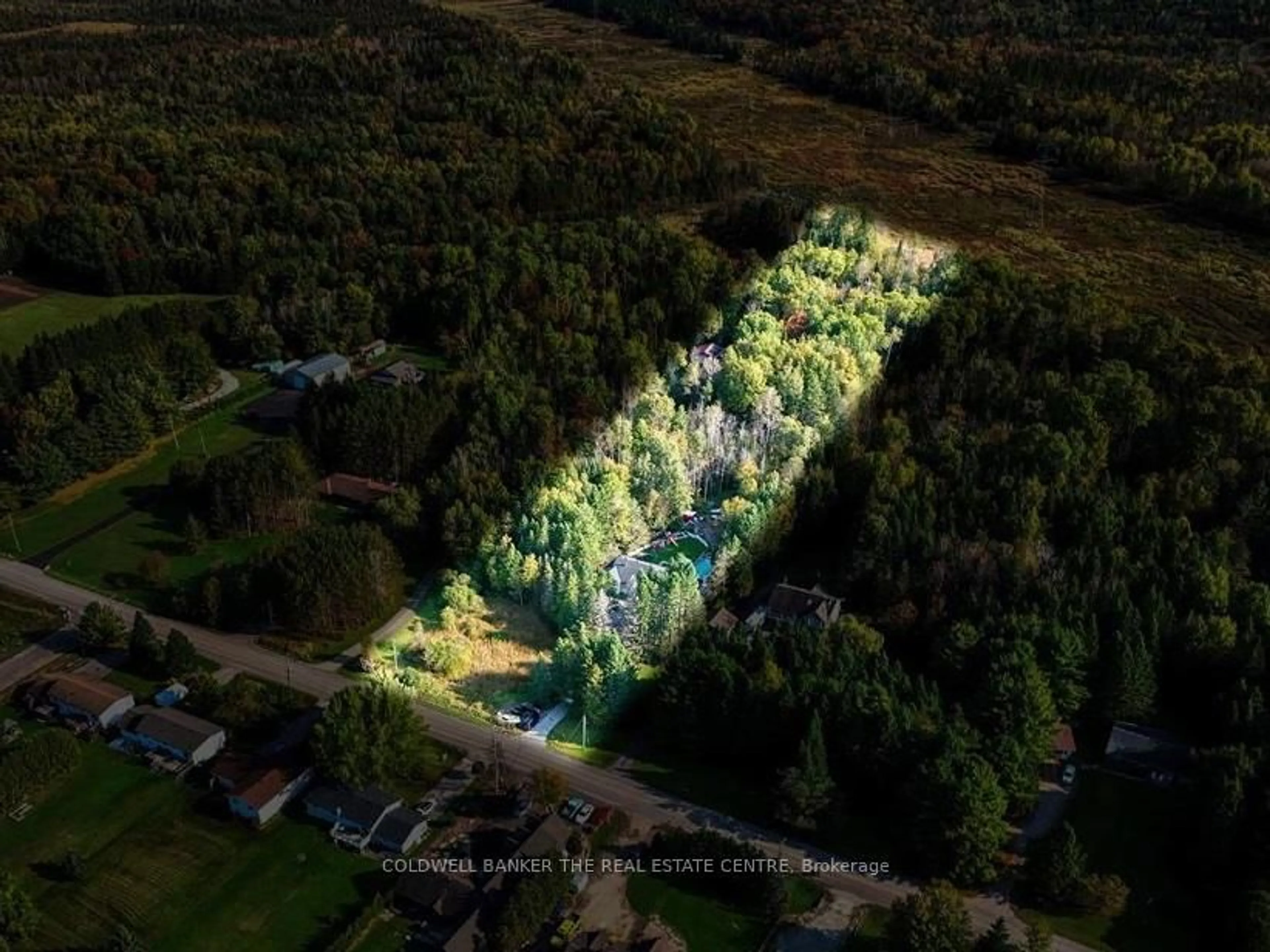 A pic from outside/outdoor area/front of a property/back of a property/a pic from drone, forest/trees view for 63 Scarlett Line, Oro-Medonte Ontario L0L 1V0