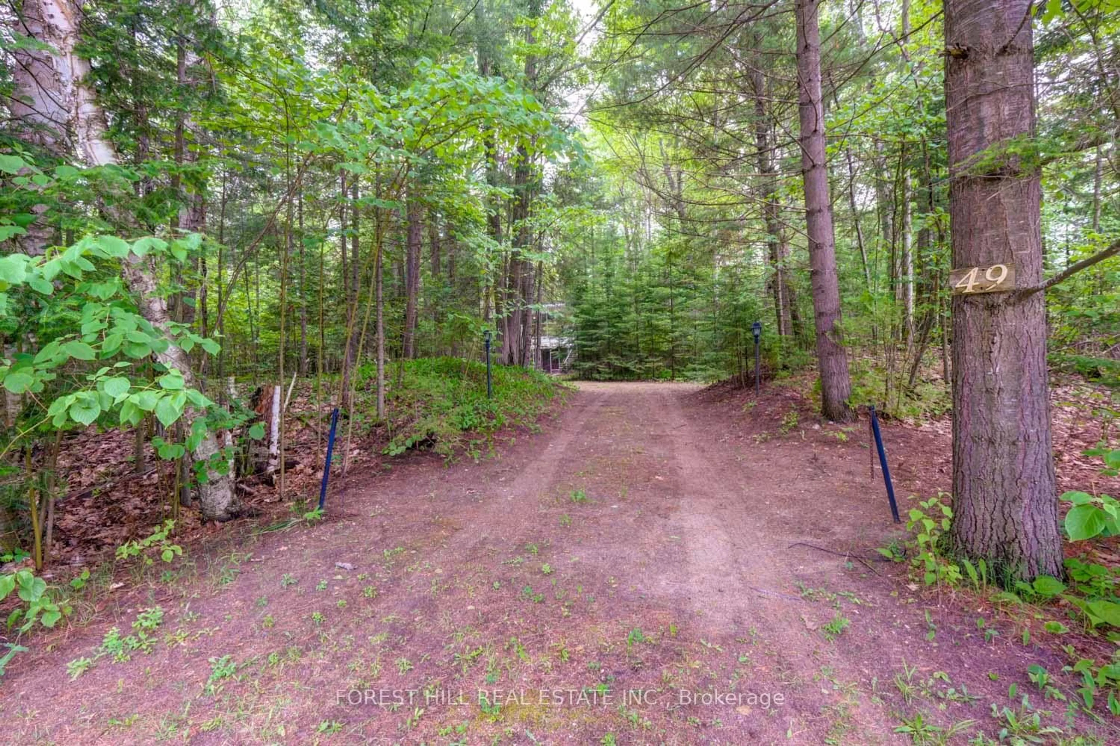 A pic from outside/outdoor area/front of a property/back of a property/a pic from drone, forest/trees view for 49 Leslie St, Wasaga Beach Ontario L9Z 2R3