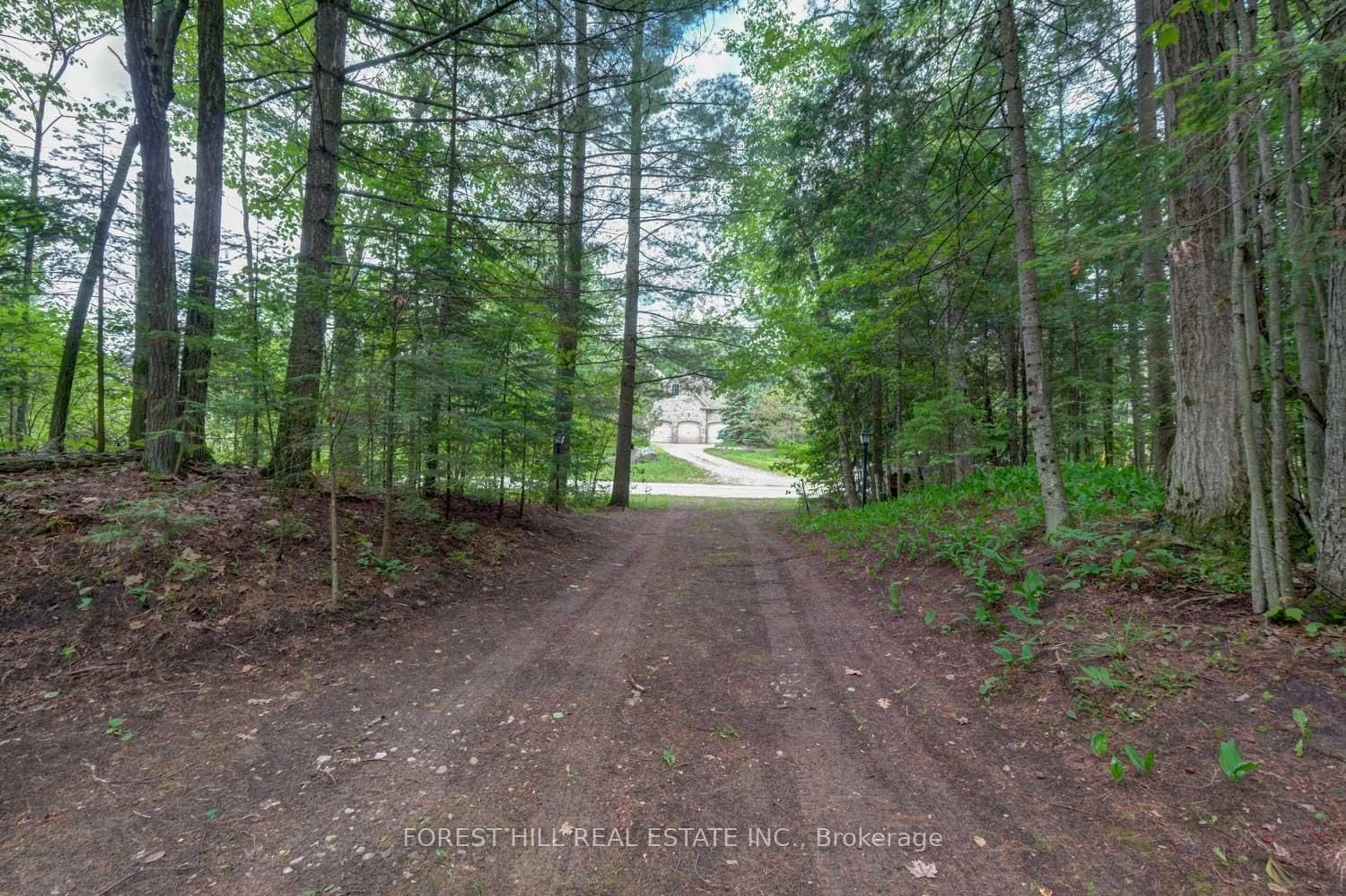 A pic from outside/outdoor area/front of a property/back of a property/a pic from drone, forest/trees view for 49 Leslie St, Wasaga Beach Ontario L9Z 2R3