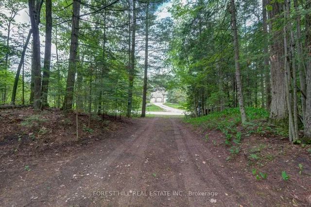 49 Leslie St, Wasaga Beach 5