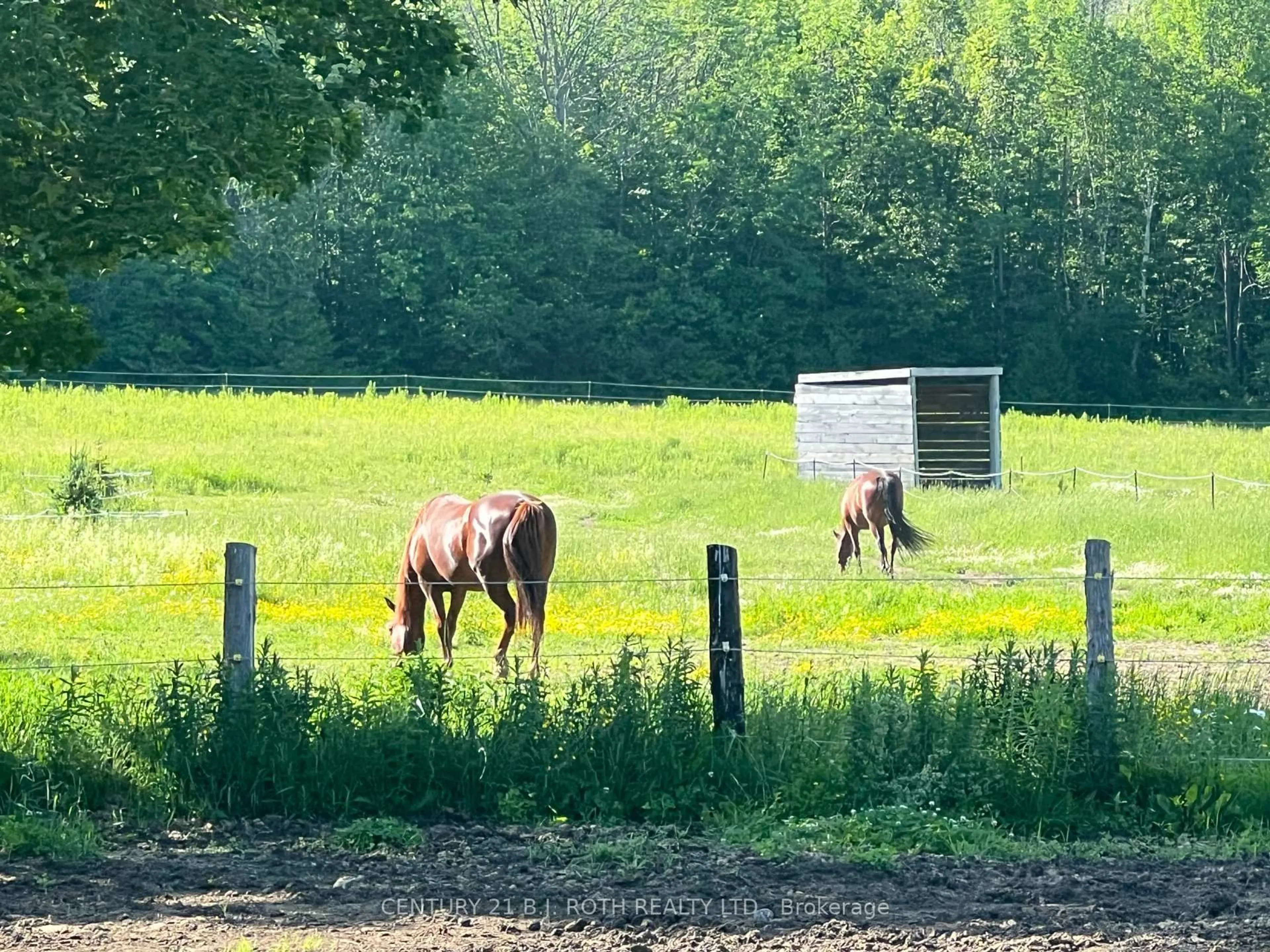Blurry image for 2266 FOXMEAD Rd, Oro-Medonte Ontario L0K 1E0
