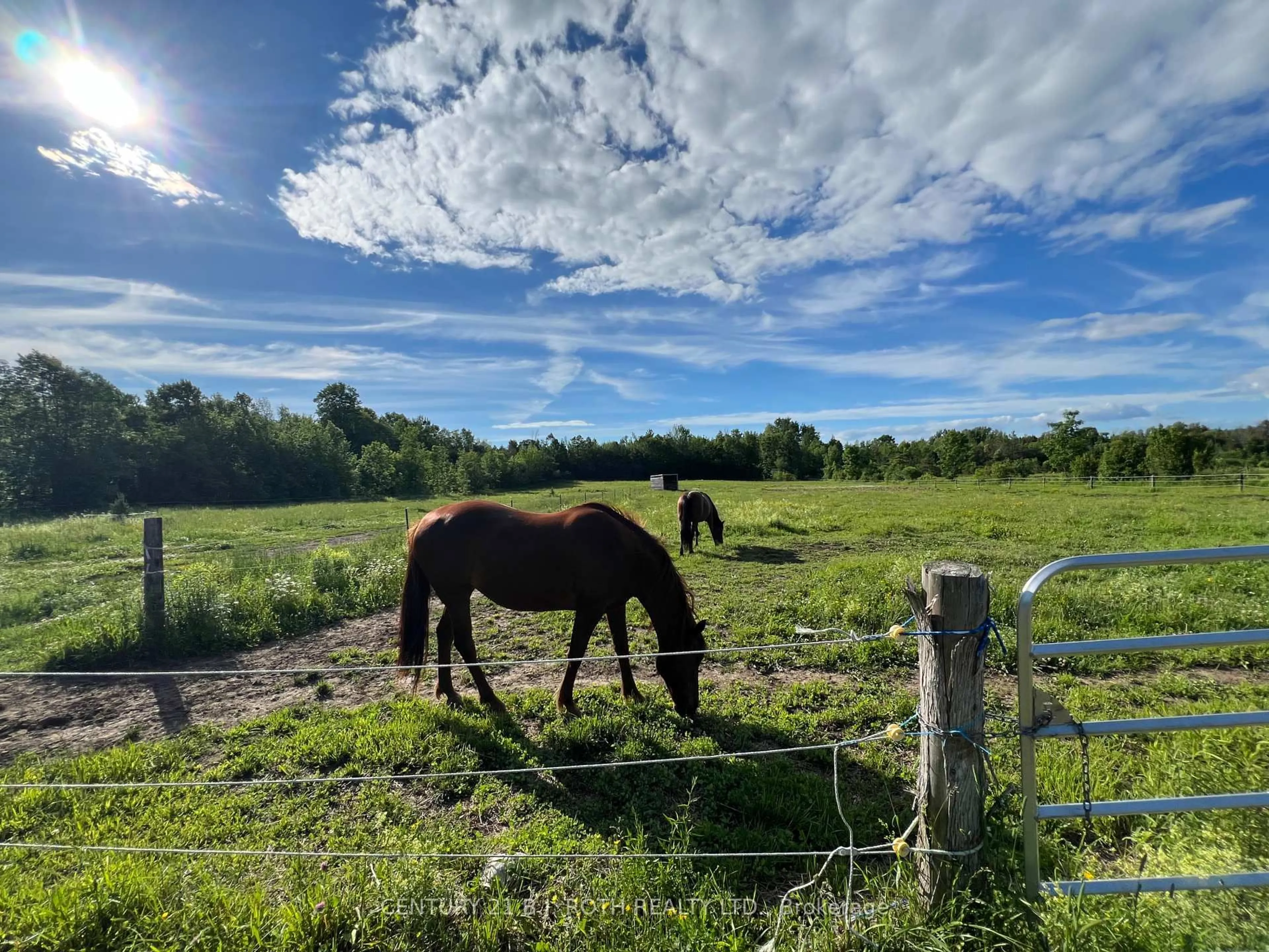 A pic from outside/outdoor area/front of a property/back of a property/a pic from drone, mountain view for 2266 FOXMEAD Rd, Oro-Medonte Ontario L0K 1E0