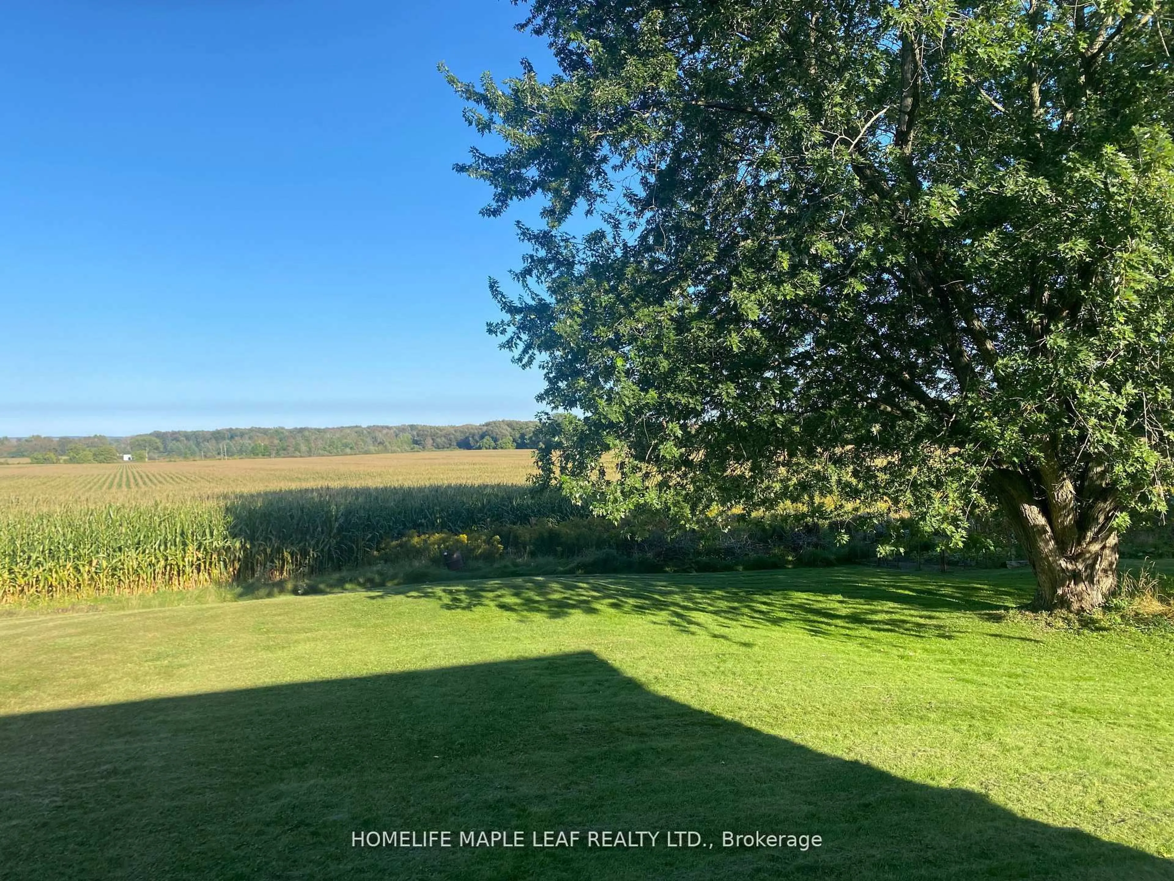 A pic from outside/outdoor area/front of a property/back of a property/a pic from drone, water/lake/river/ocean view for 3501 Mccarthy Dr, Clearview Ontario L0M 1N0