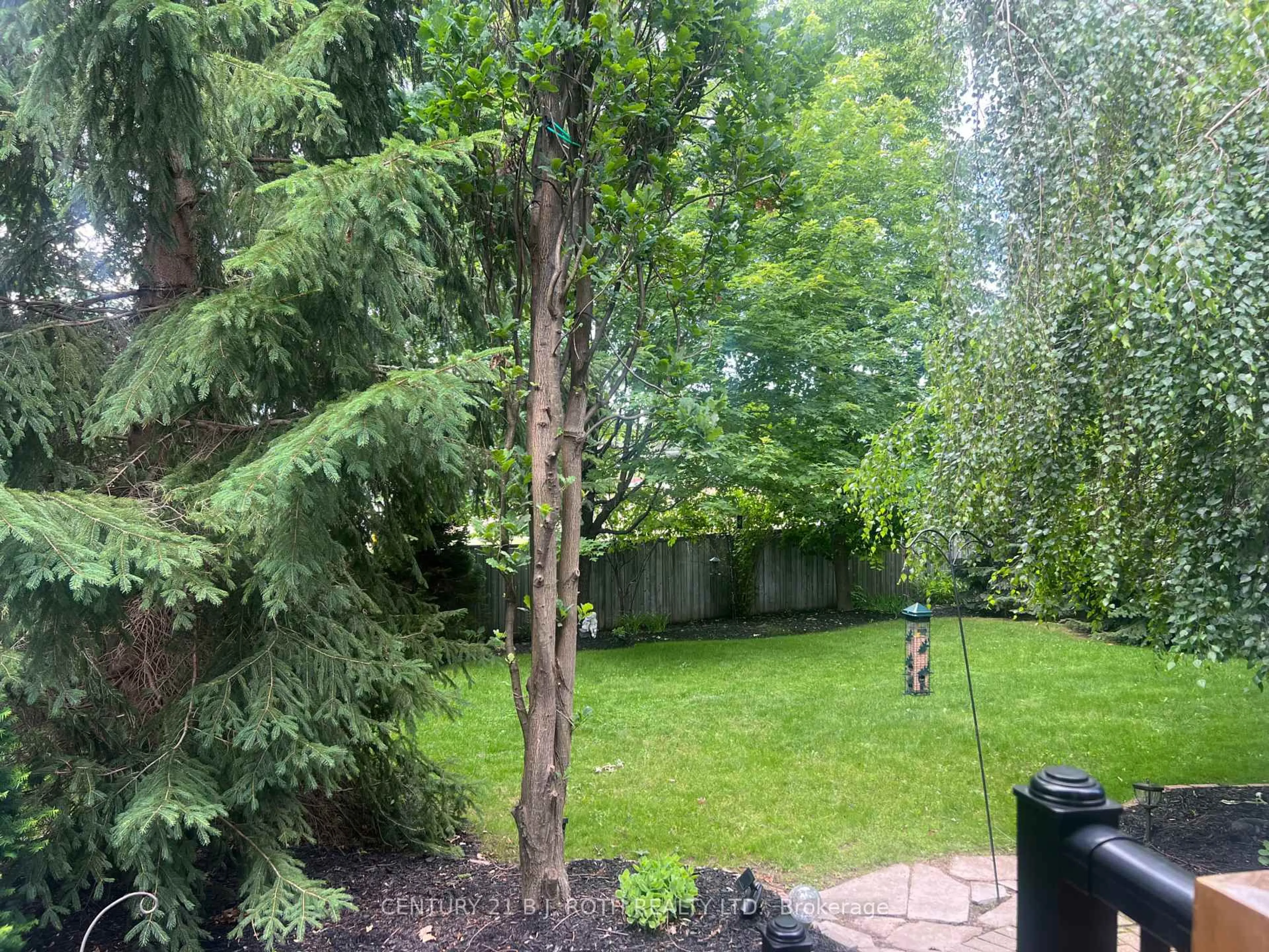 A pic from outside/outdoor area/front of a property/back of a property/a pic from drone, forest/trees view for 47 Looker Dr, Barrie Ontario L4N 7V3