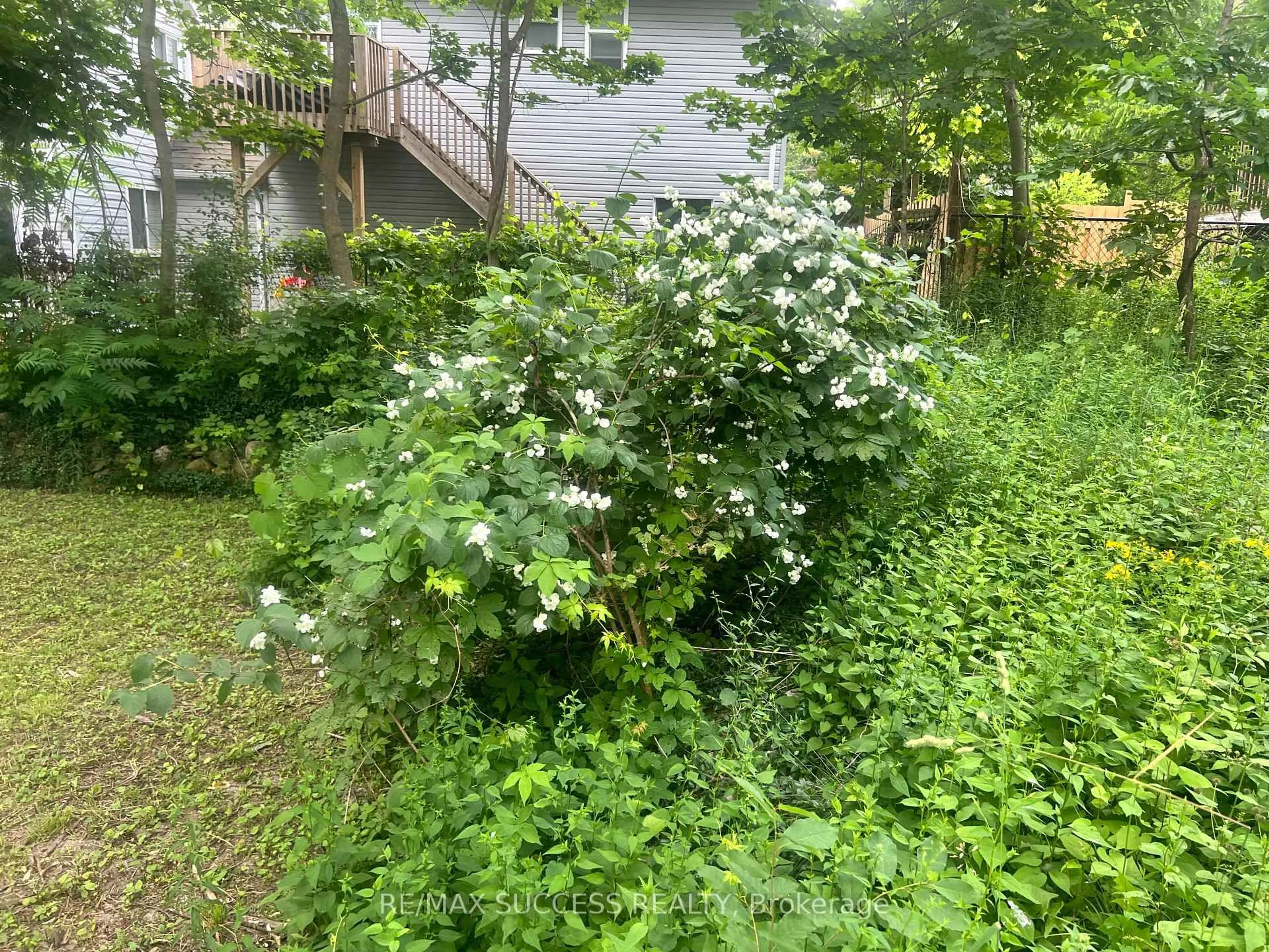 Patio, forest/trees view for 243 Harvey St, Orillia Ontario L3V 3M5