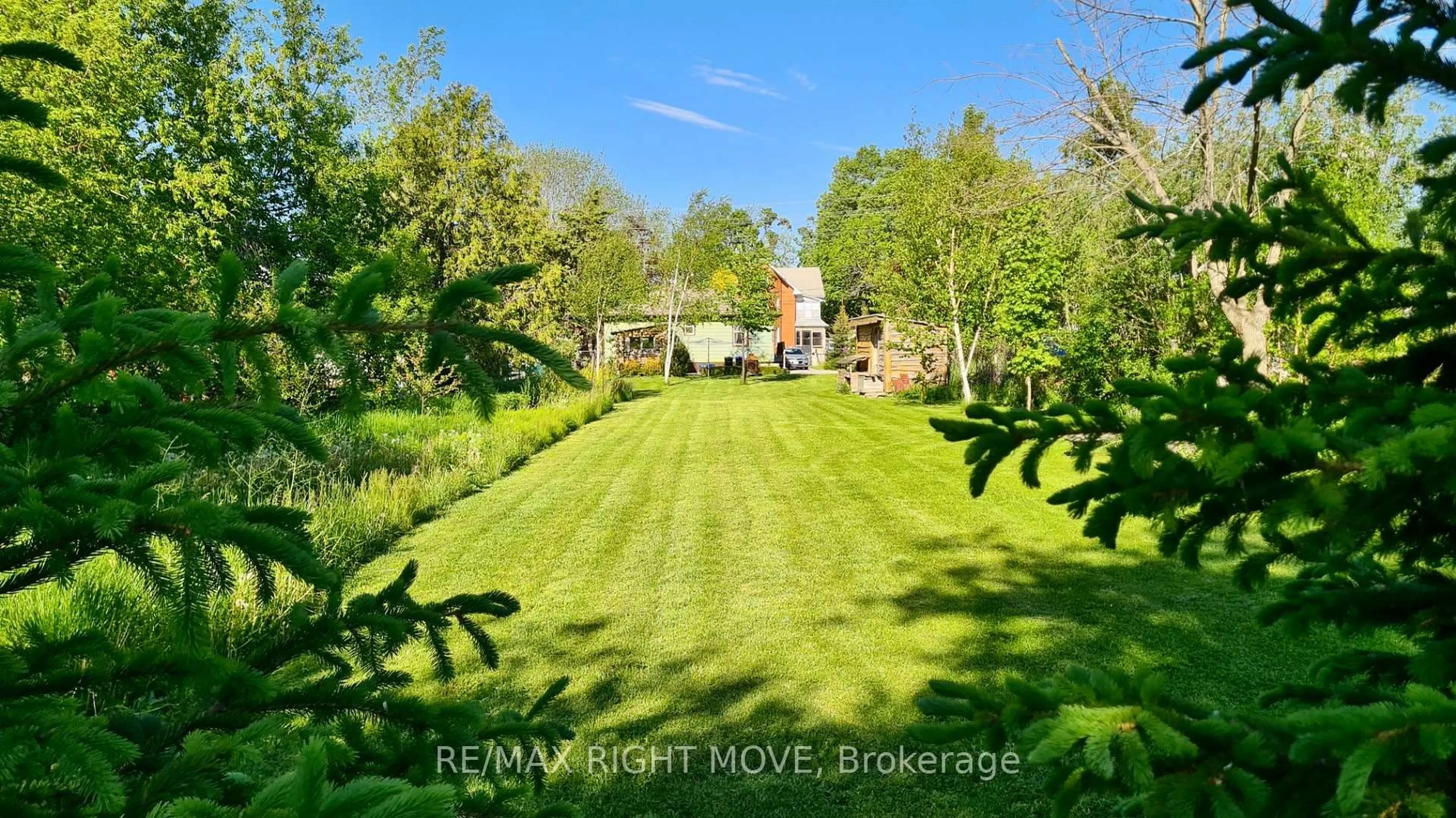A pic from outside/outdoor area/front of a property/back of a property/a pic from drone, forest/trees view for 2344 12 Highway, Ramara Ontario L0K 1B0