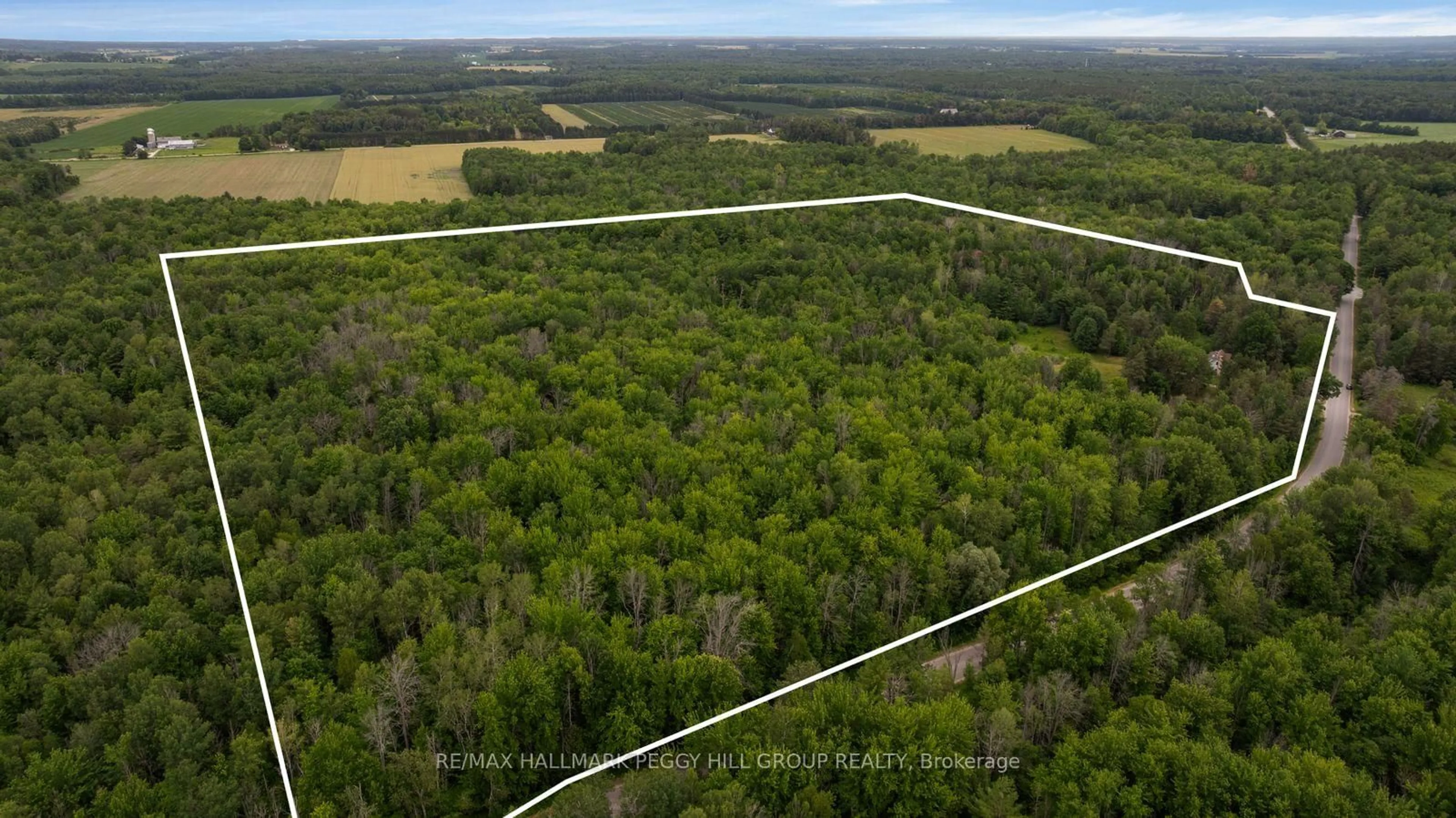 A pic from outside/outdoor area/front of a property/back of a property/a pic from drone, forest/trees view for 3664 Hogback Rd, Clearview Ontario L0M 1N0