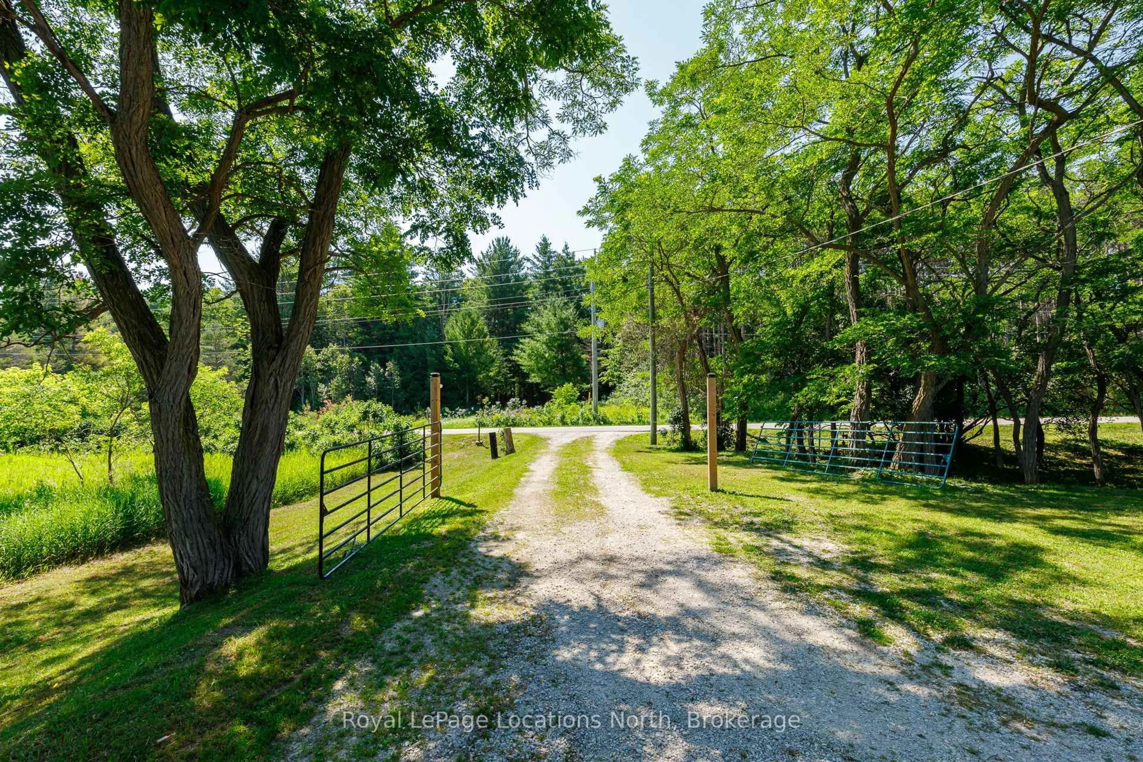 A pic from outside/outdoor area/front of a property/back of a property/a pic from drone, forest/trees view for 4080 12 Concession, Clearview Ontario L0M 1S0