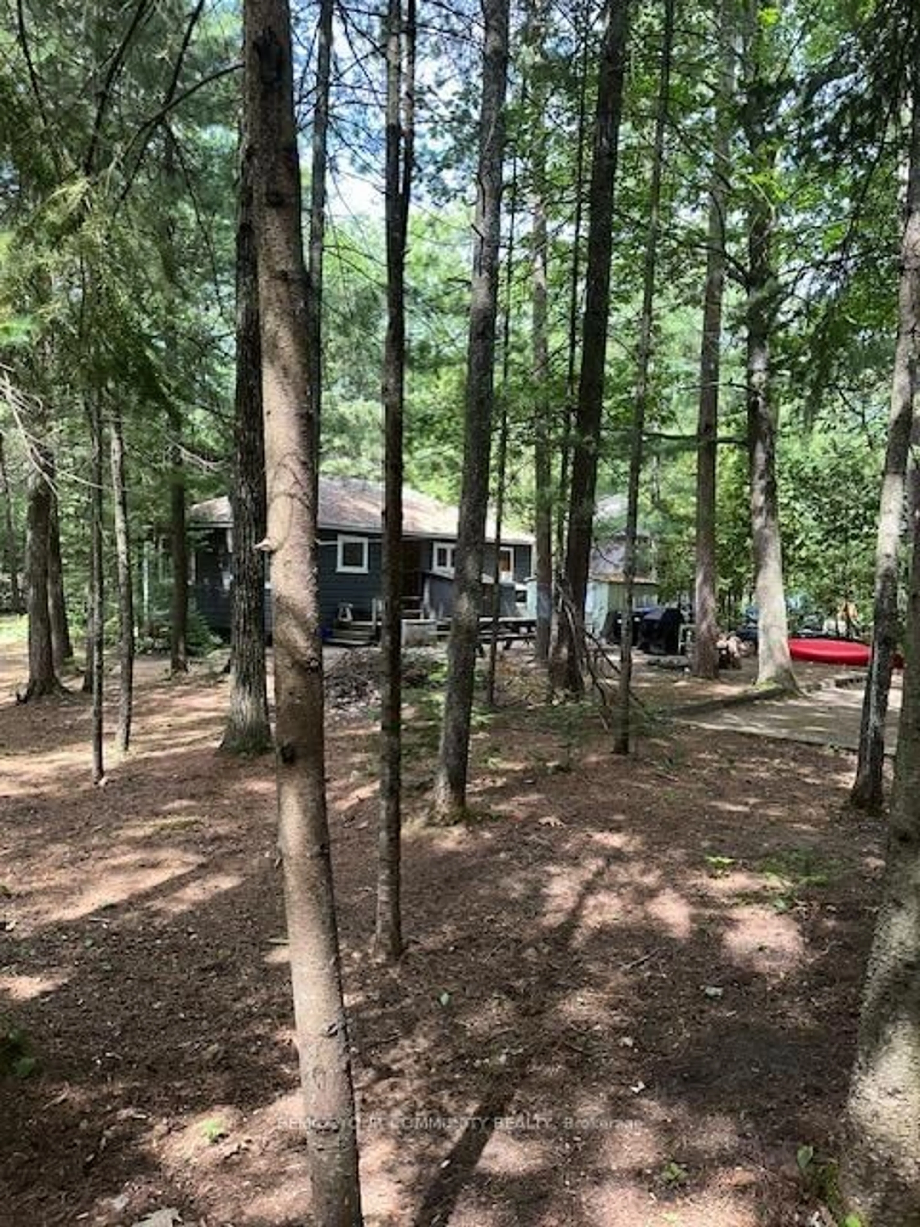 A pic from outside/outdoor area/front of a property/back of a property/a pic from drone, forest/trees view for 341 Tiny Beaches Rd, Tiny Ontario L9M 1R3
