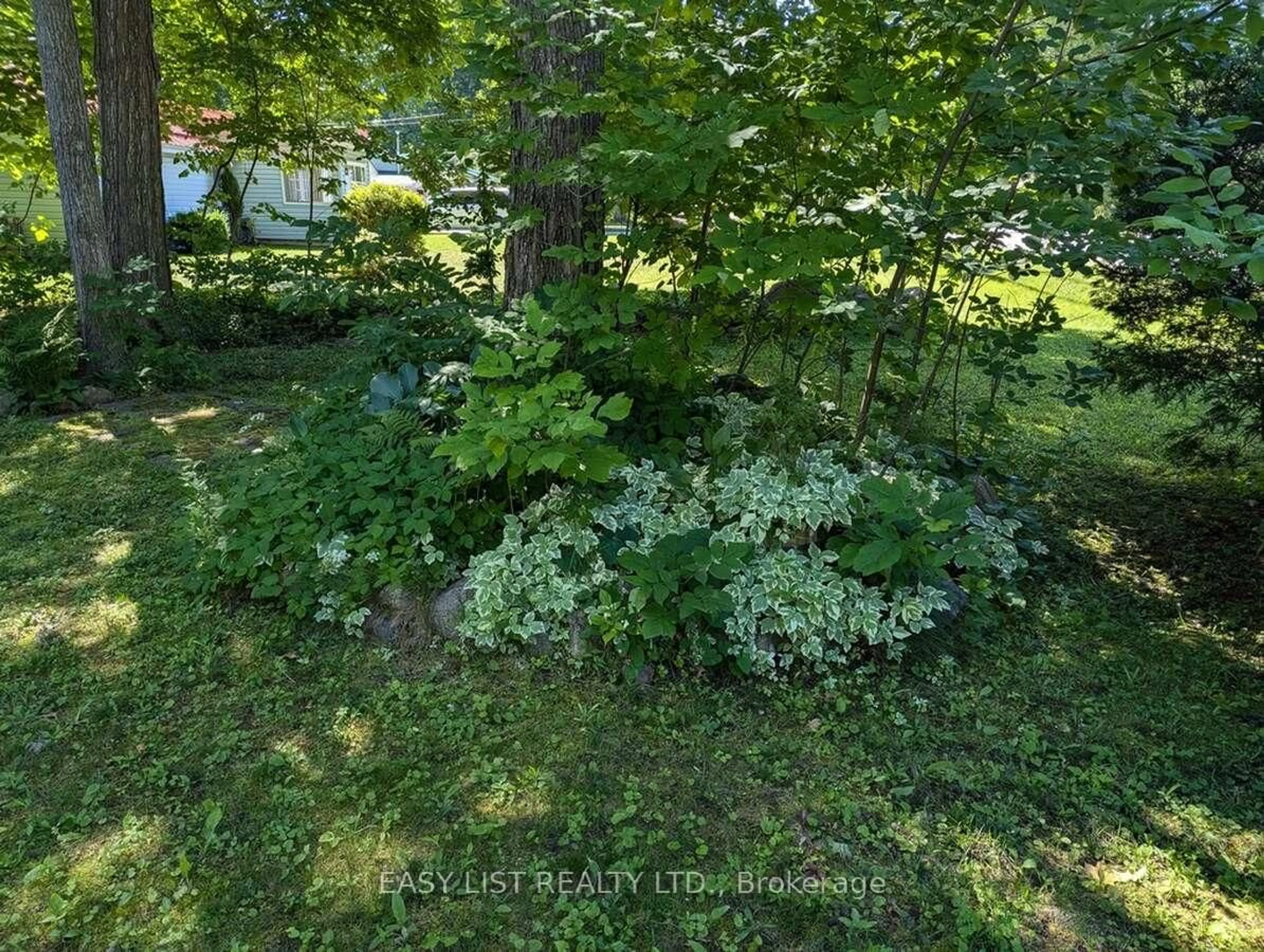 A pic from outside/outdoor area/front of a property/back of a property/a pic from drone, forest/trees view for 2135 Champlain Rd, Tiny Ontario L9M 0B1