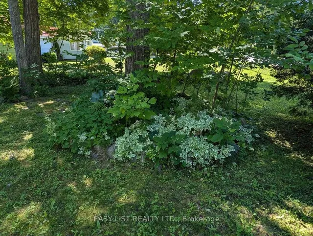2135 Champlain Rd, Tiny 4