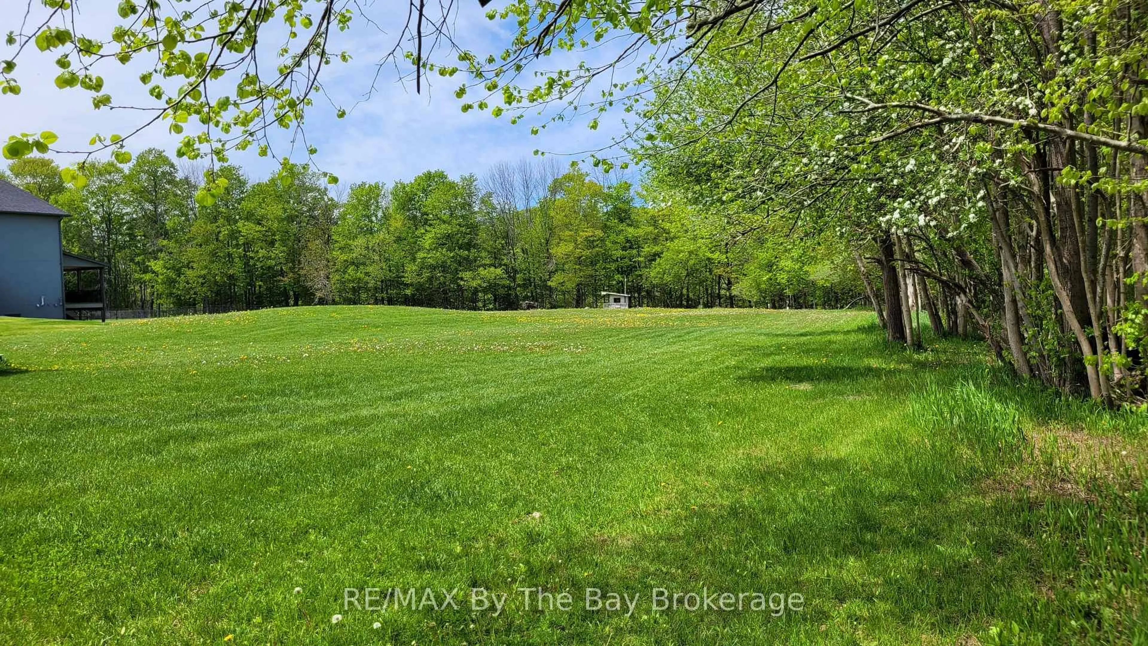 A pic from outside/outdoor area/front of a property/back of a property/a pic from drone, forest/trees view for 16 Walnut Dr, Wasaga Beach Ontario L9Z 0A9