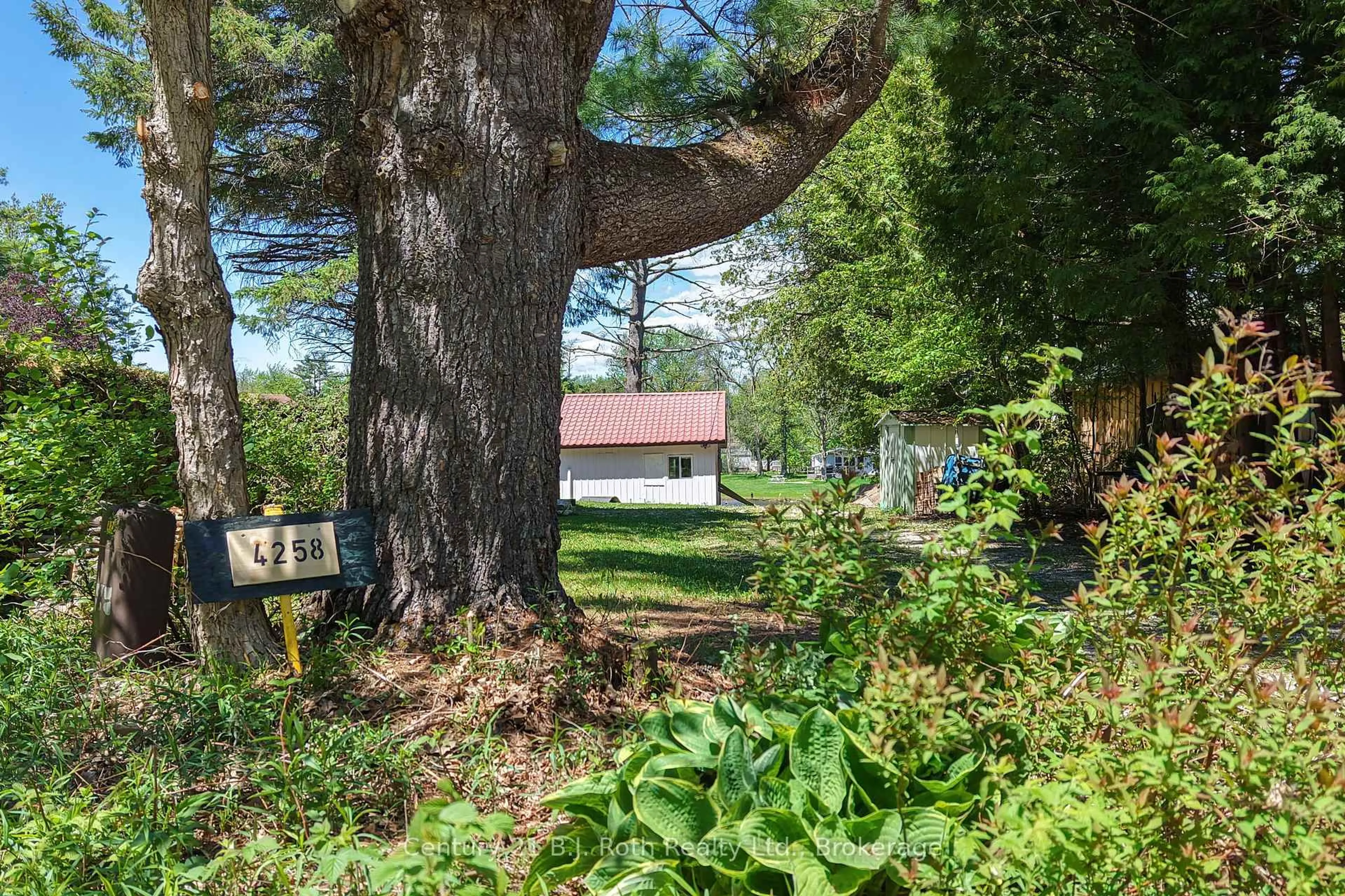 Patio, forest/trees view for 4258 Canal Rd, Severn Ontario L0K 2B0