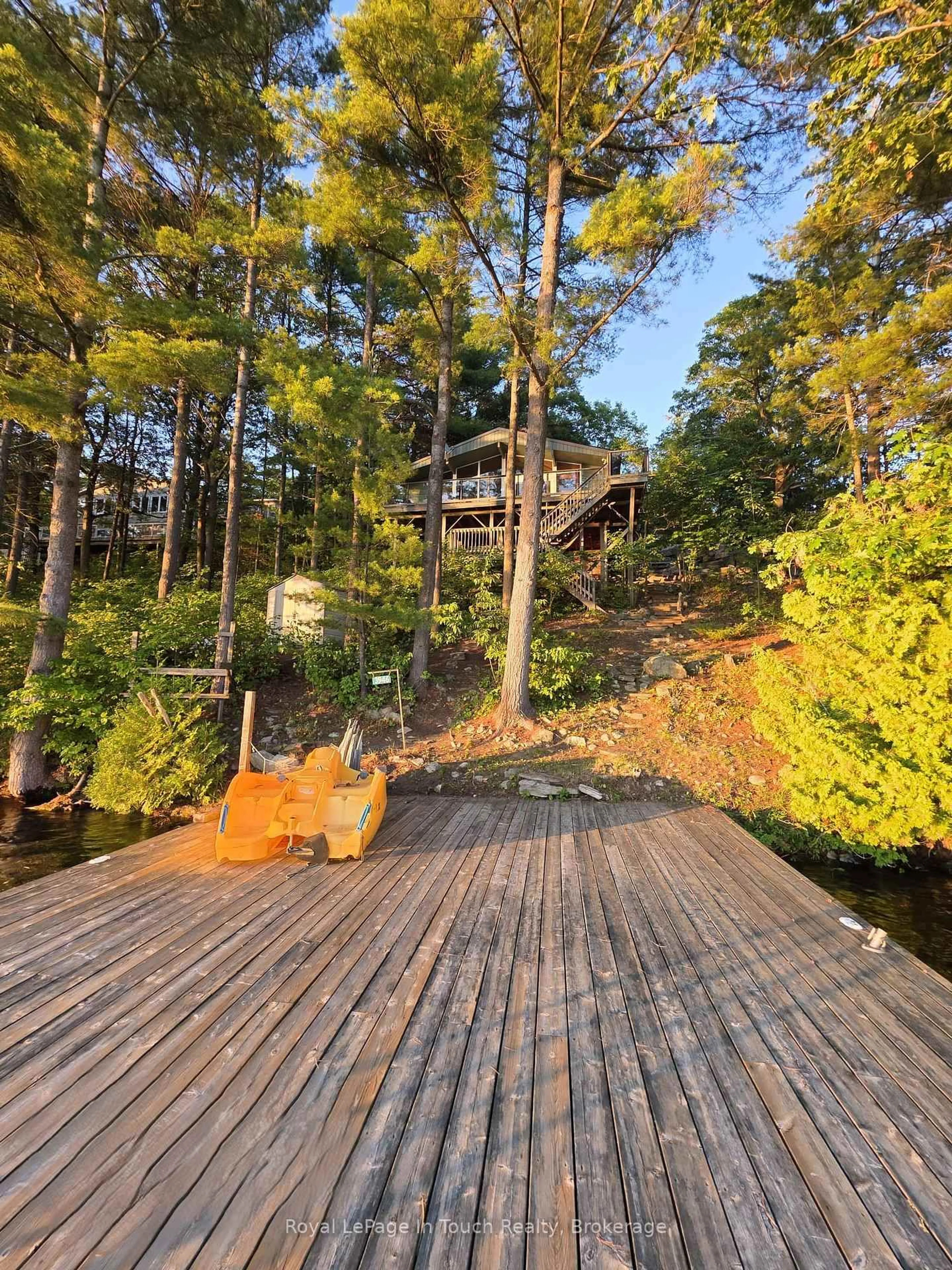 A pic from outside/outdoor area/front of a property/back of a property/a pic from drone, forest/trees view for 3946 East Shore Rd, Severn Ontario L0K 1E0