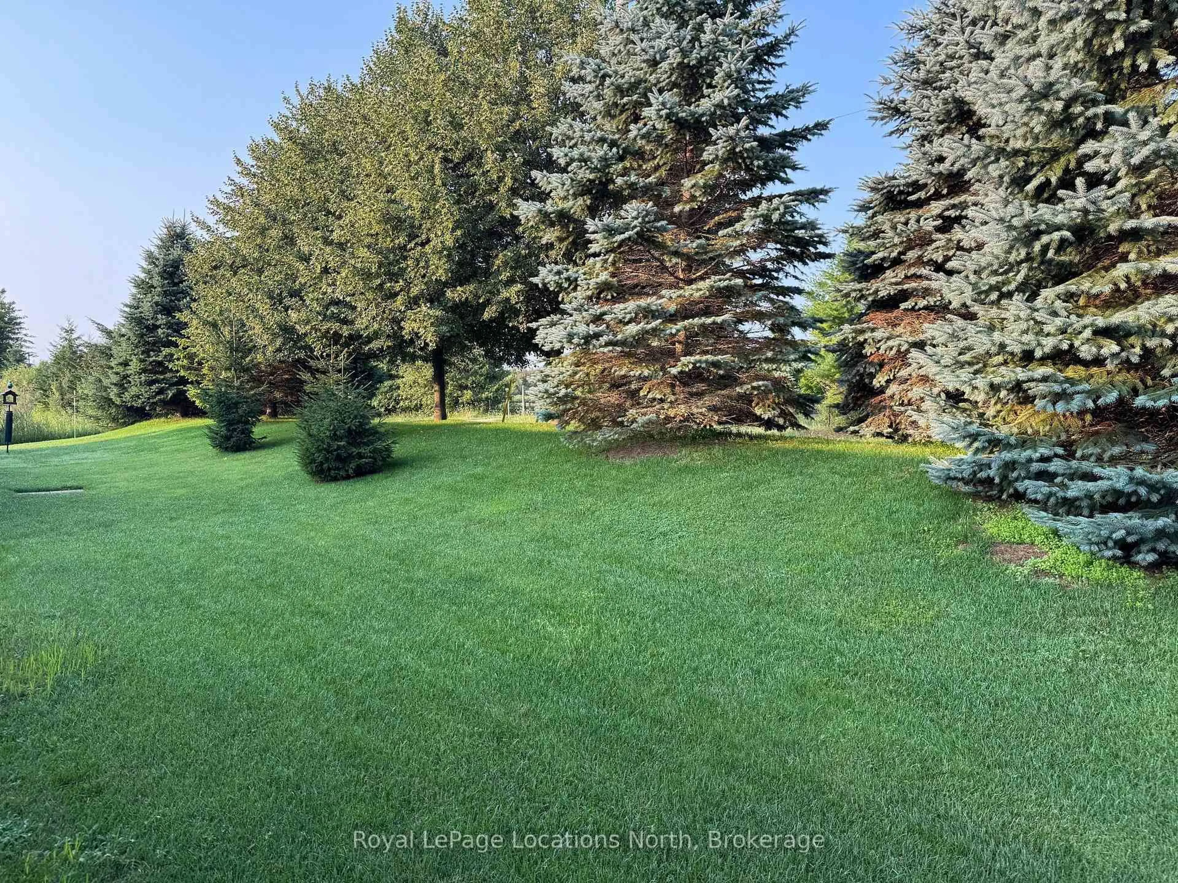 A pic from outside/outdoor area/front of a property/back of a property/a pic from drone, forest/trees view for 54 New York Ave, Wasaga Beach Ontario L9Z 3A8