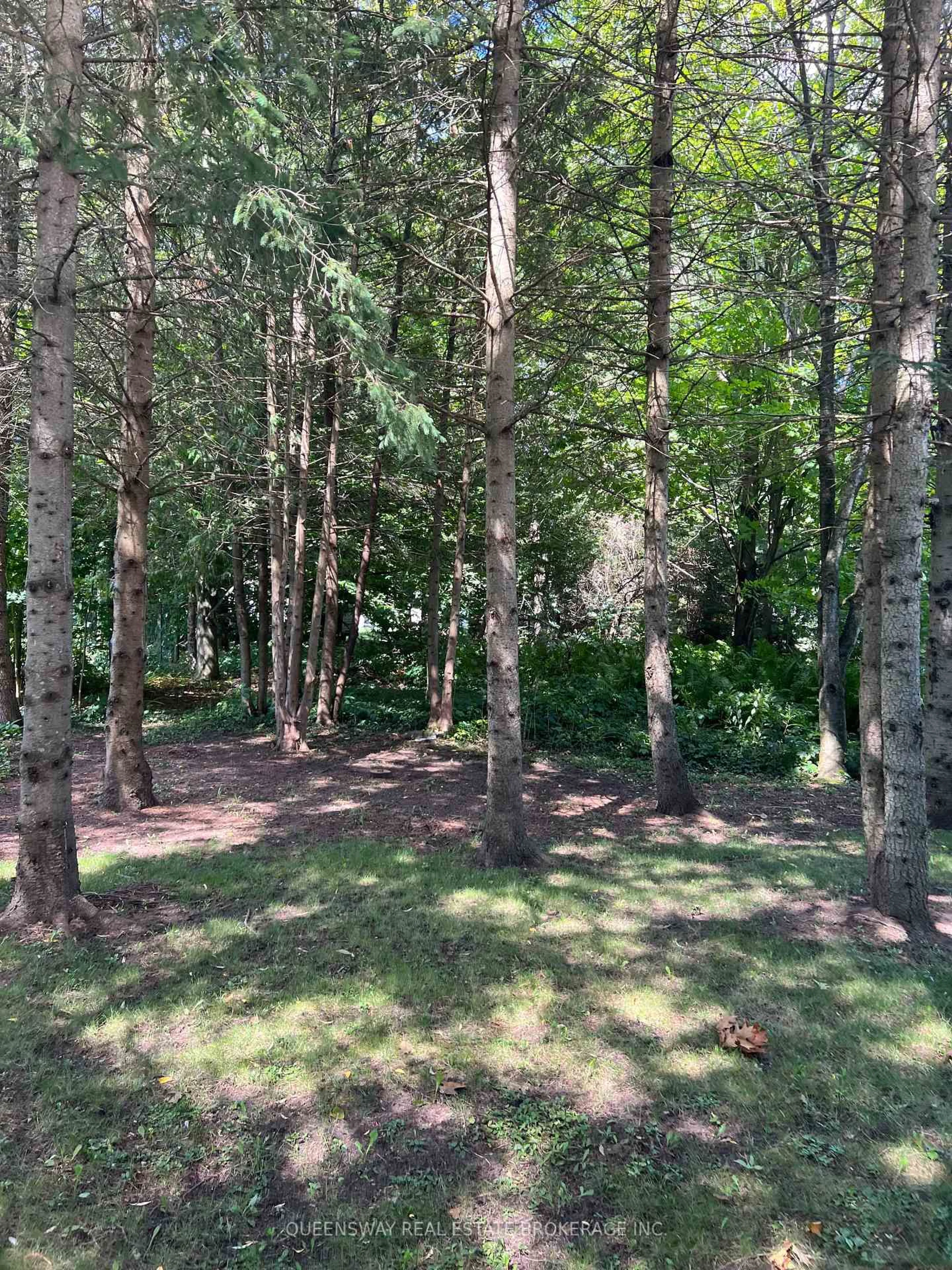 A pic from outside/outdoor area/front of a property/back of a property/a pic from drone, forest/trees view for 10 Mill St, Springwater Ontario L0L 1V0