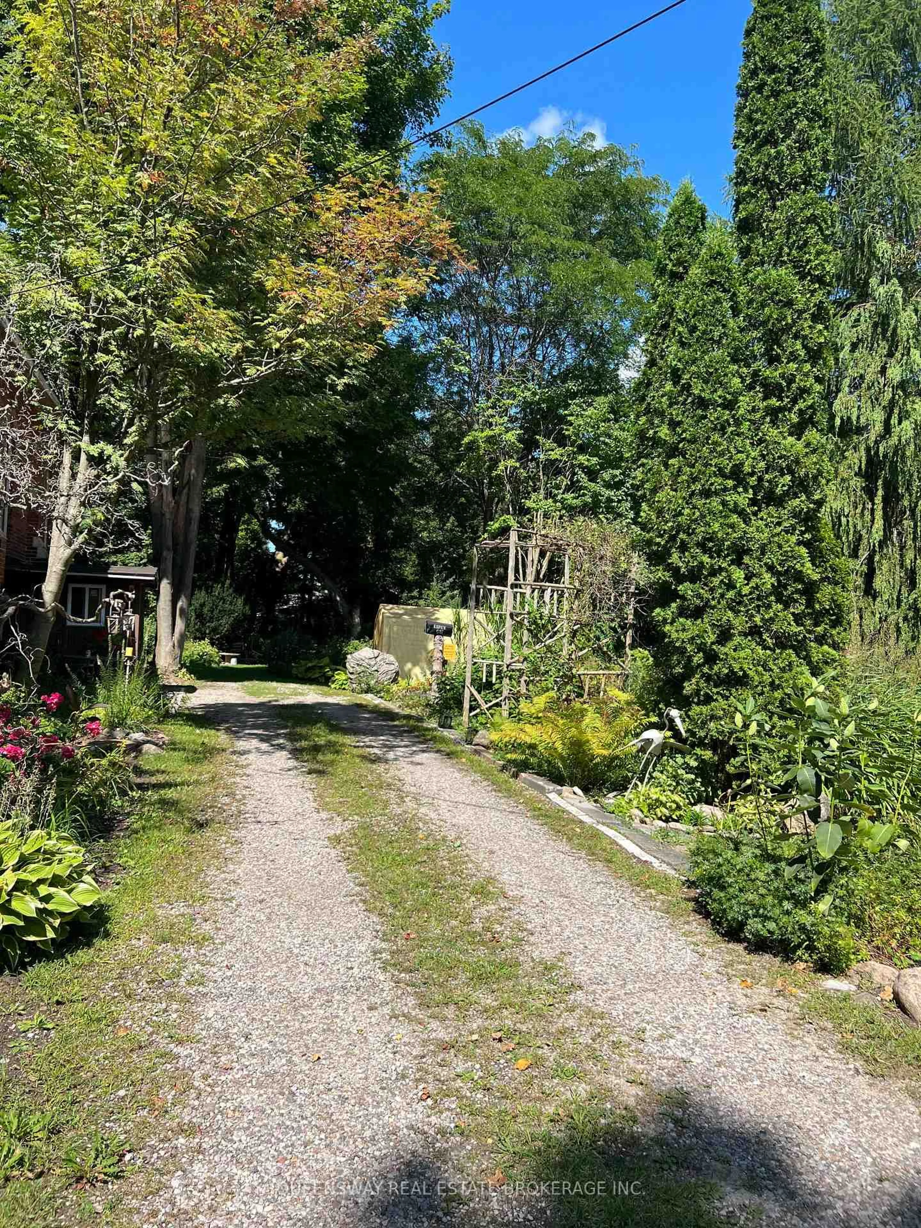 A pic from outside/outdoor area/front of a property/back of a property/a pic from drone, street for 10 Mill St, Springwater Ontario L0L 1V0