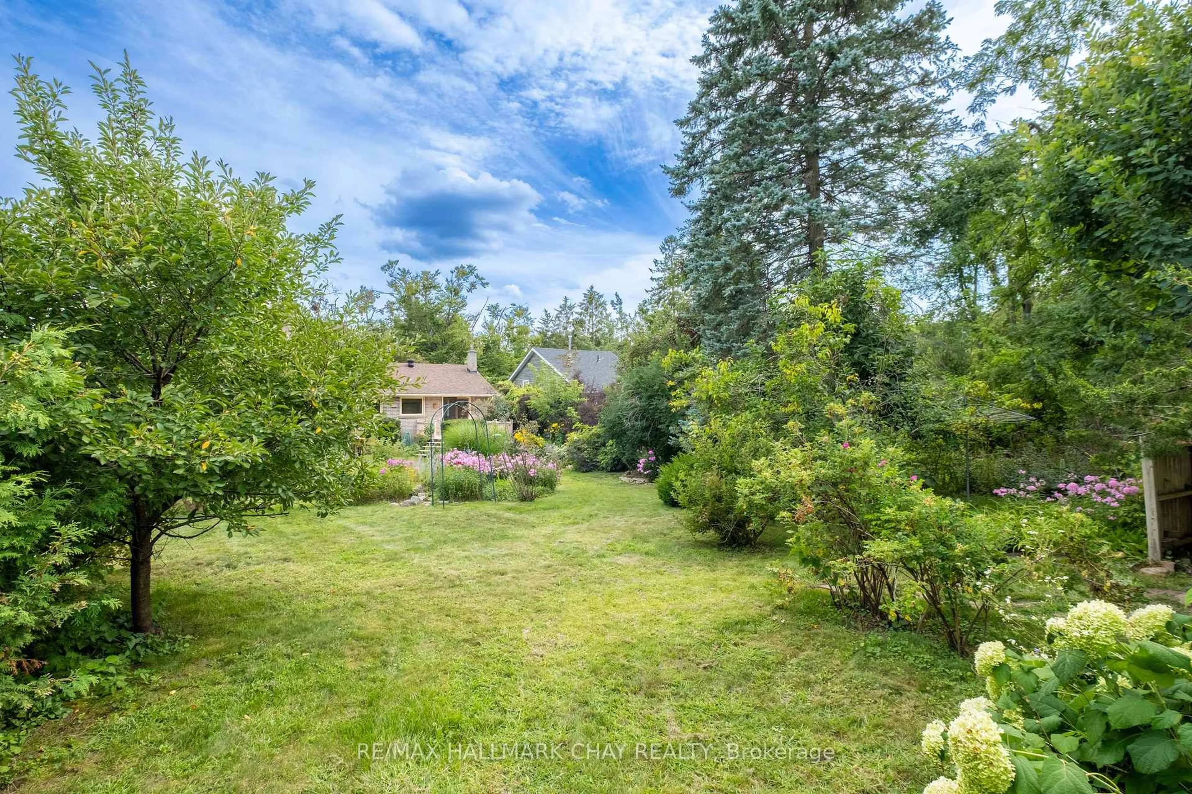 A pic from outside/outdoor area/front of a property/back of a property/a pic from drone, forest/trees view for 44 Amelia St, Barrie Ontario L4M 1M6