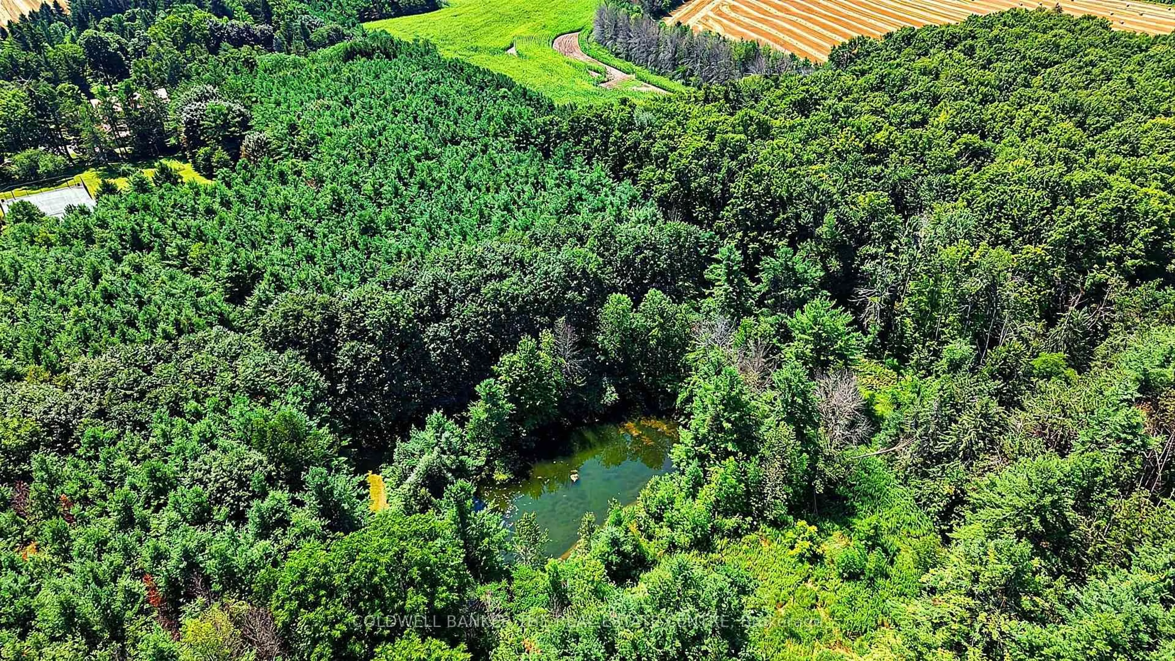 A pic from outside/outdoor area/front of a property/back of a property/a pic from drone, forest/trees view for 4361 12 Highway #*Parcel Package*, Ramara Ontario L3V 6J6
