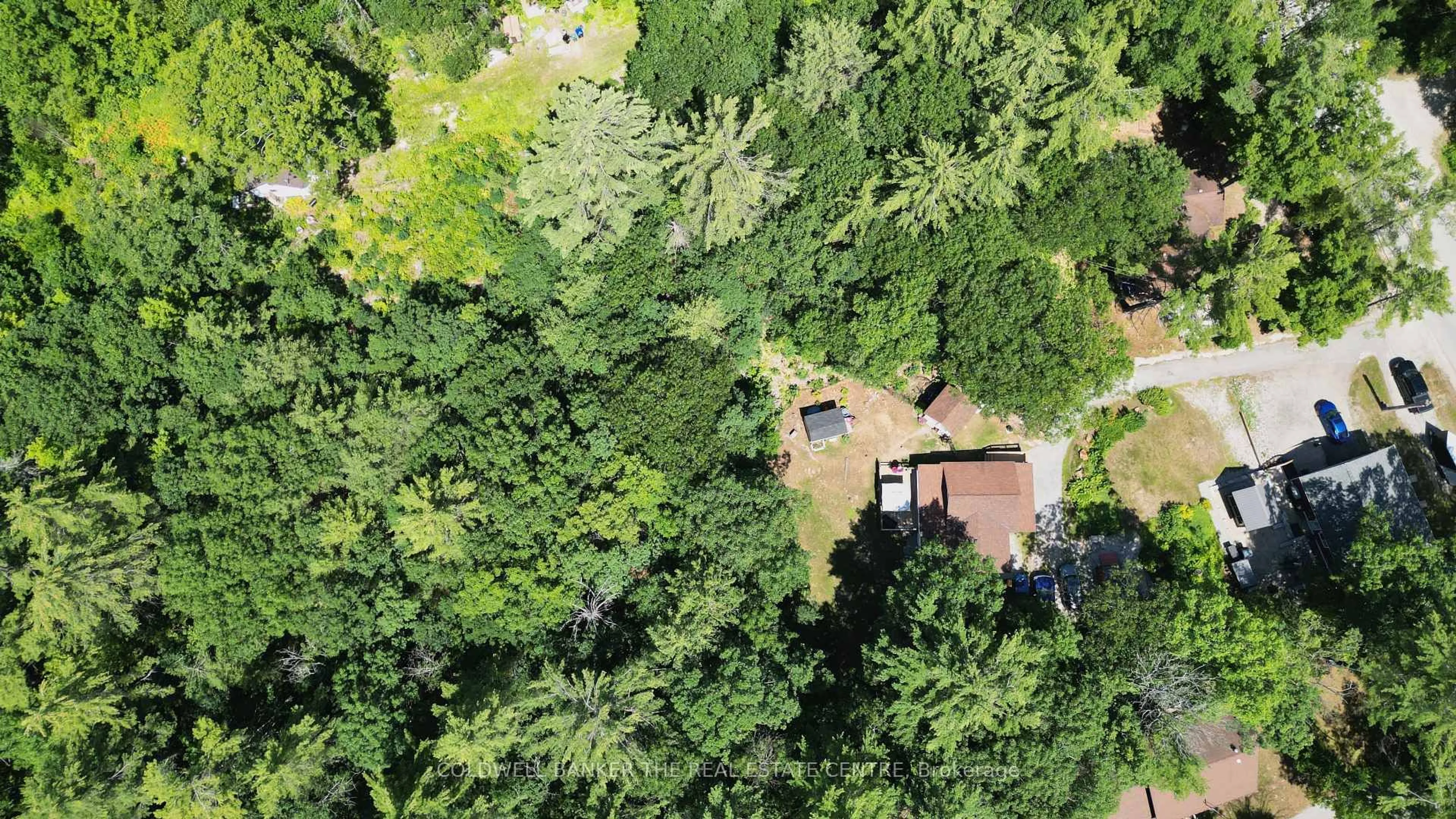 A pic from outside/outdoor area/front of a property/back of a property/a pic from drone, forest/trees view for 5594 Upper Big Chute Rd, Severn Ontario L0K 1E0