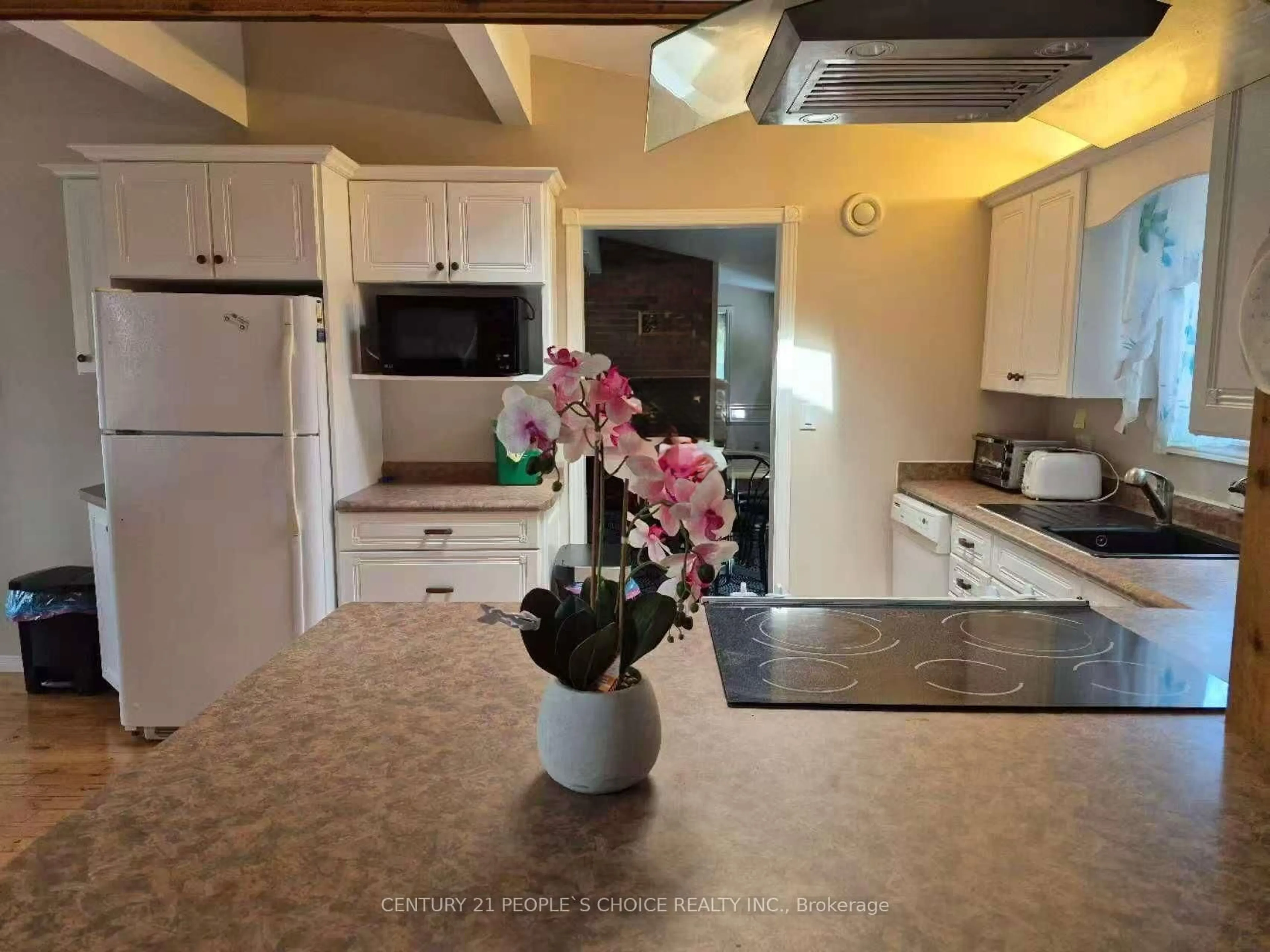 Open concept kitchen, ceramic/tile floor for 7696 South River Rd, Ramara Ontario L0K 2B0