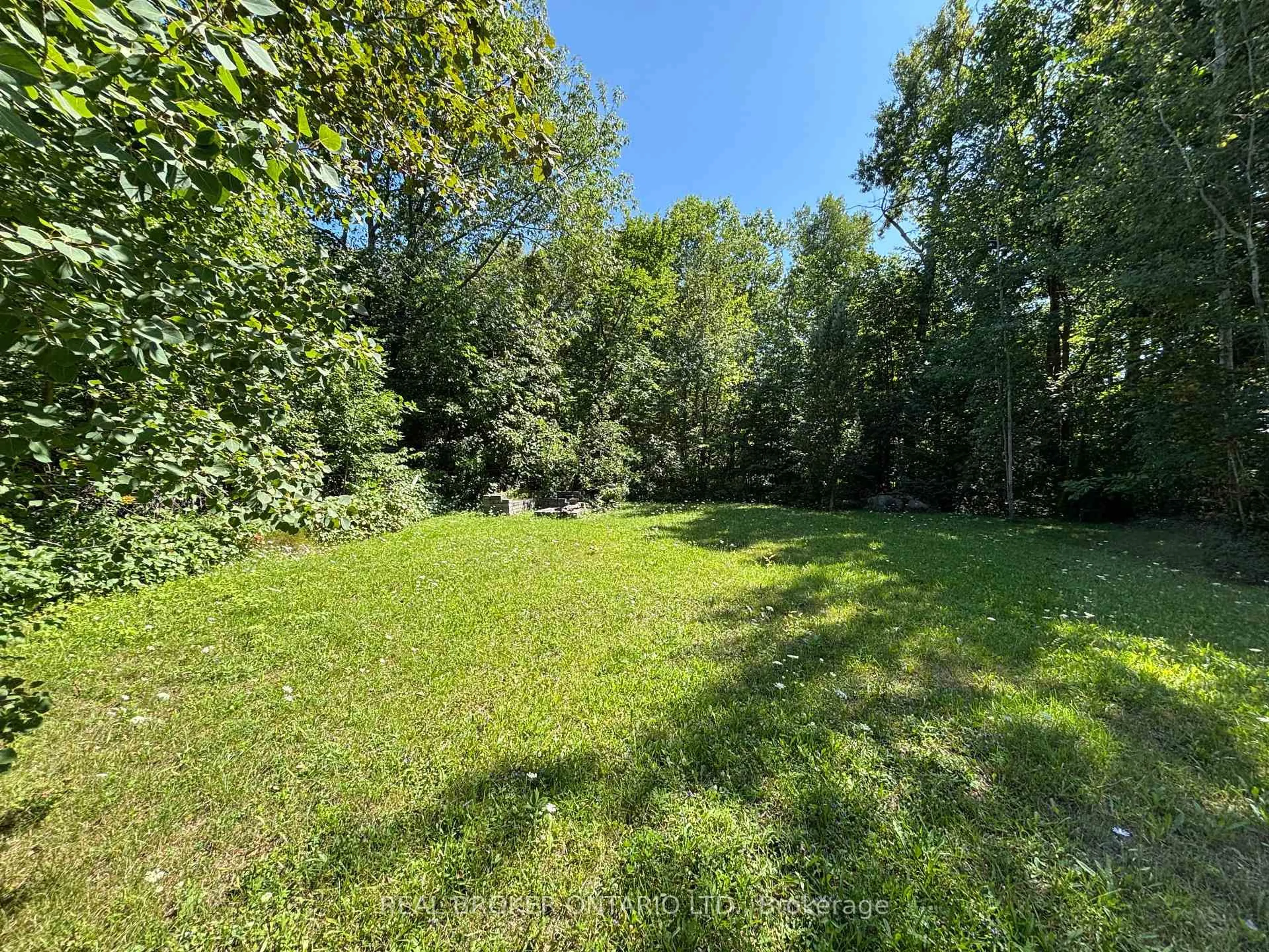 A pic from outside/outdoor area/front of a property/back of a property/a pic from drone, forest/trees view for 53 Lovejoy St, Tay Ontario L0K 2A0