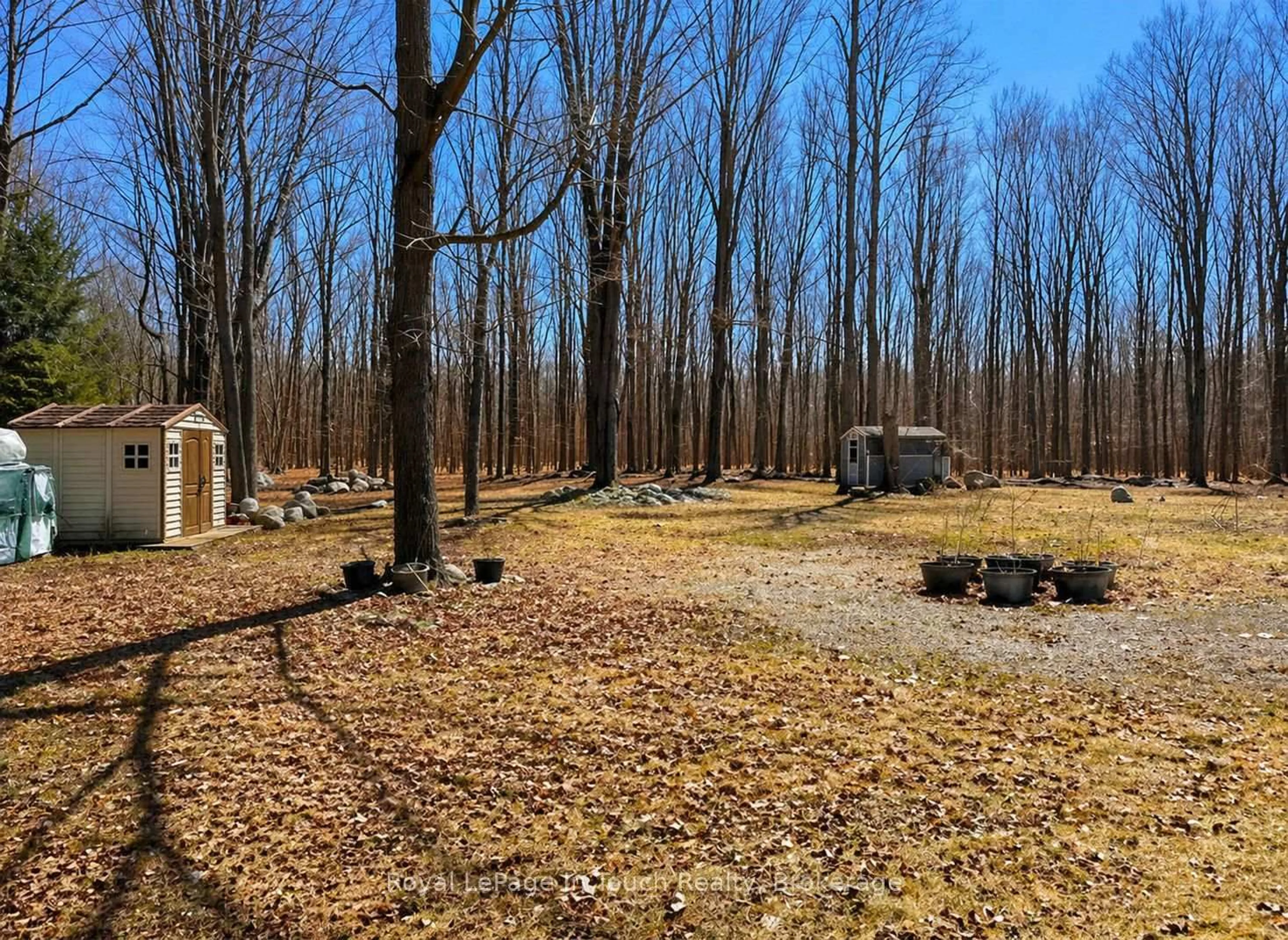 A pic from outside/outdoor area/front of a property/back of a property/a pic from drone, forest/trees view for 874 Cedar Point Rd, Tiny Ontario L9M 0K1